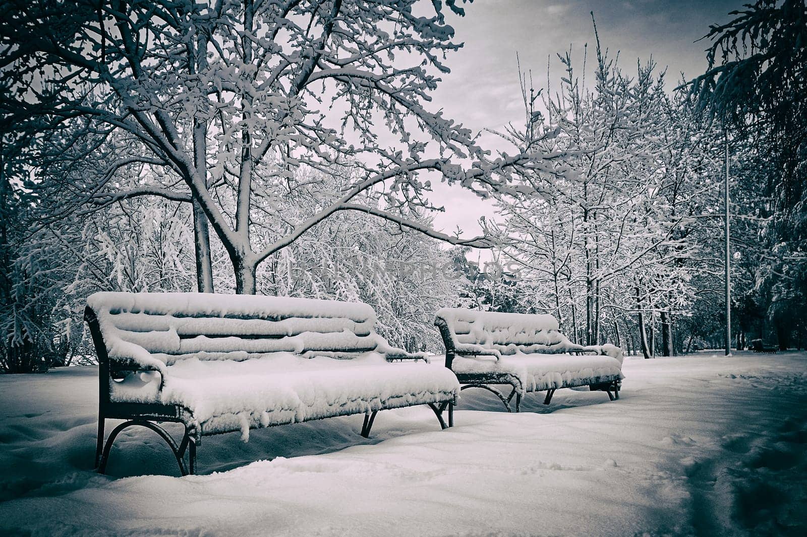 Park benches covered with snow in winter season. Filtered image processed with vintage effect by DAndreev