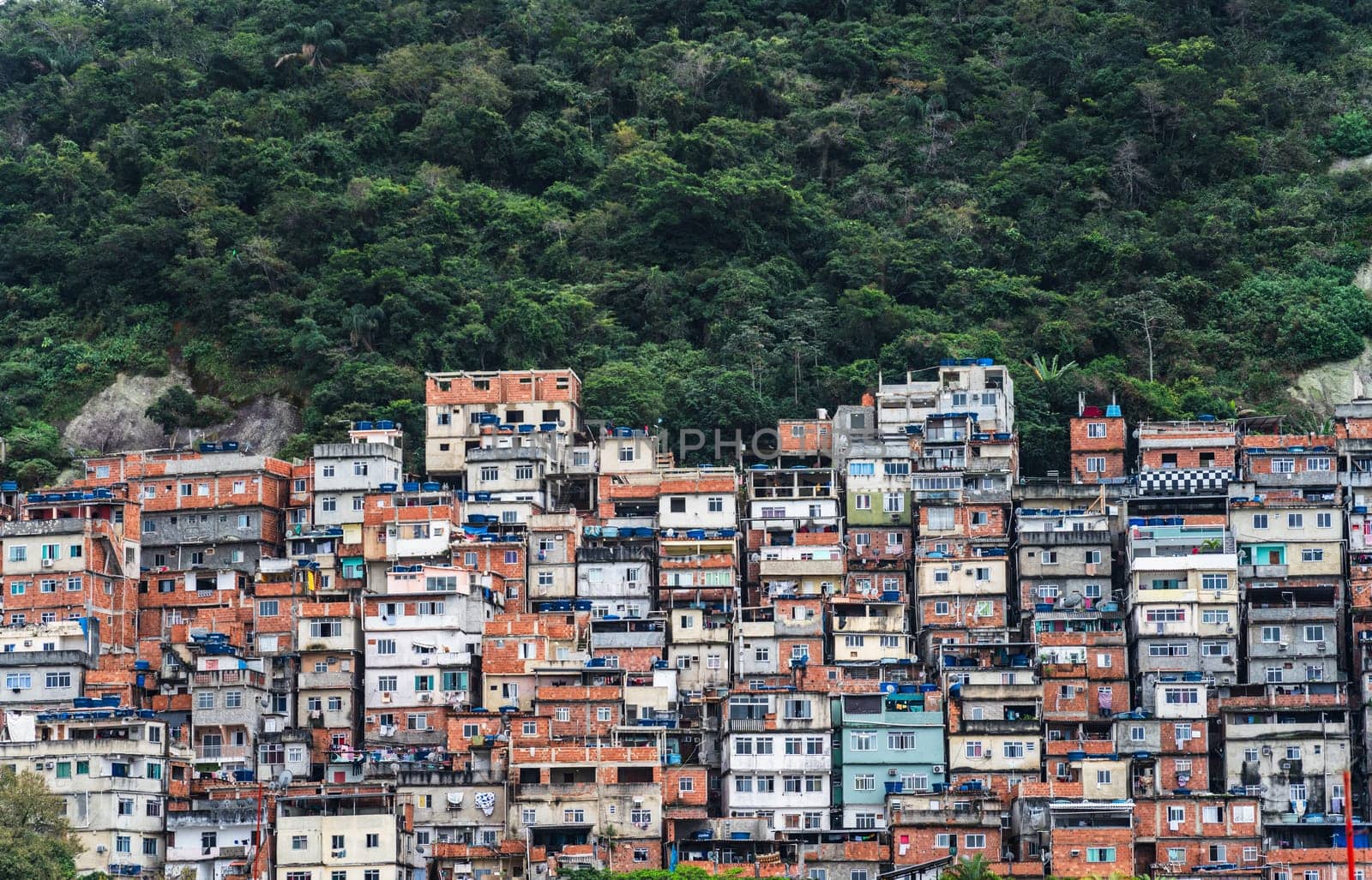 Colorful Favelas of Rio de Janeiro Expanding into Jungle by FerradalFCG