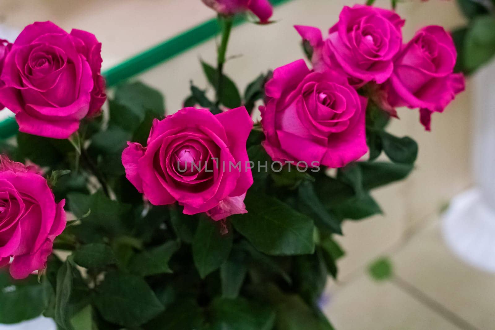 Bouquet of pink roses close up with copy space by Vera1703