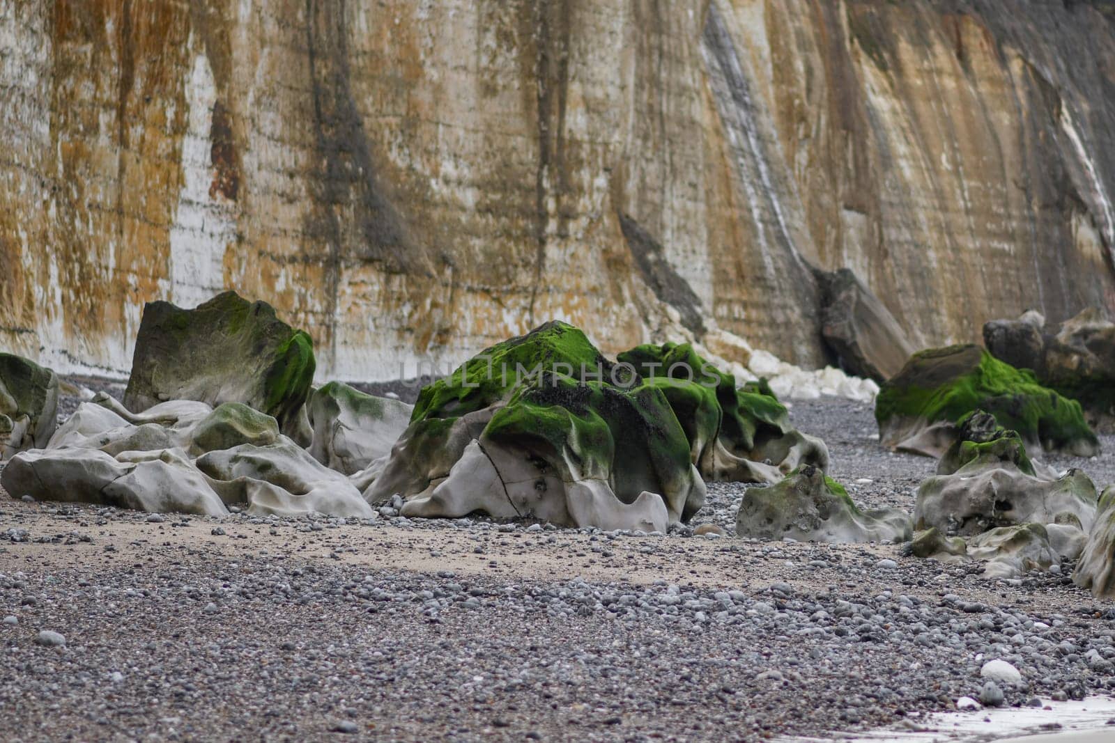 Stone with moss after the low tide of the ocean