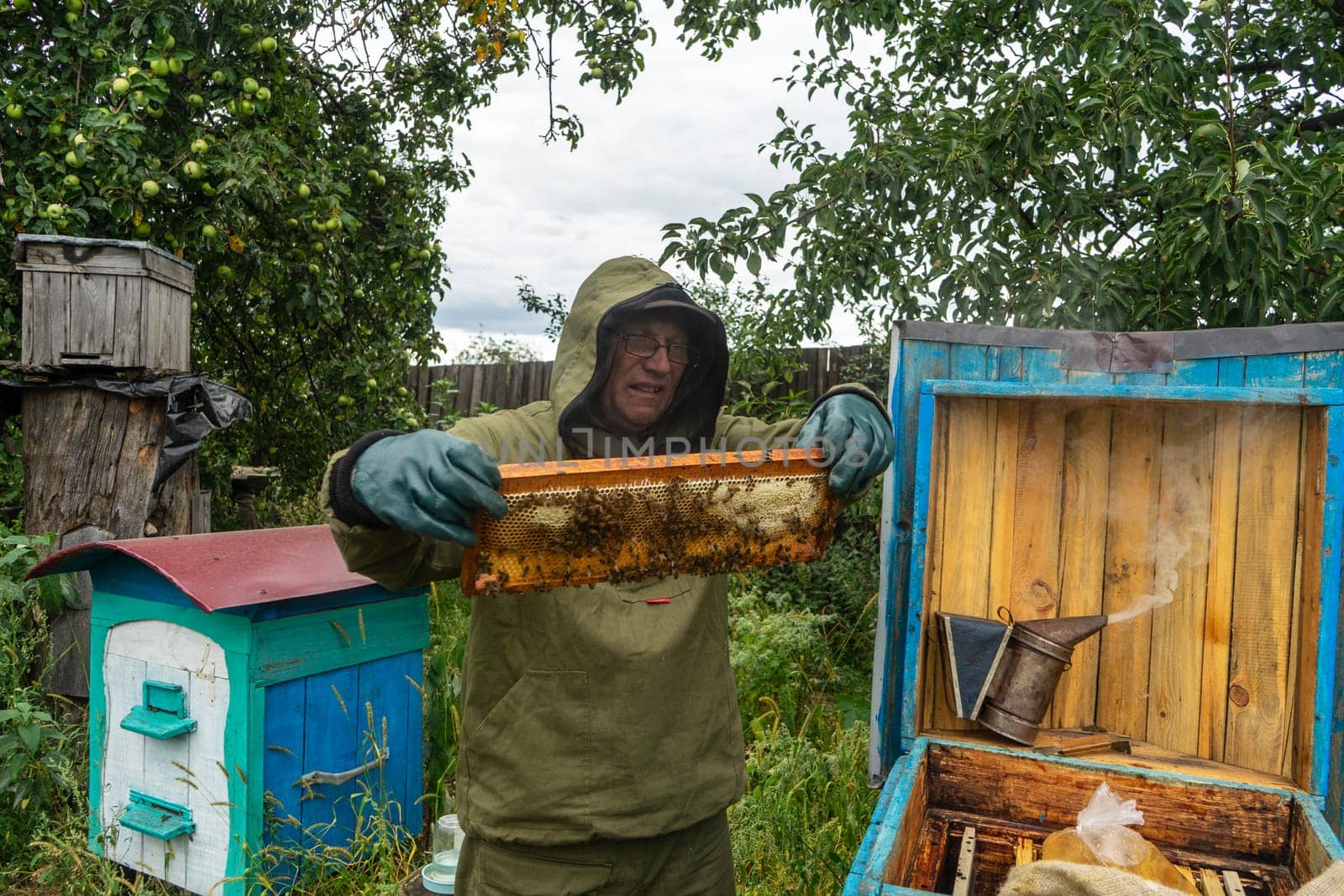 beekeeper holds in his hands honey frame with honeycomb