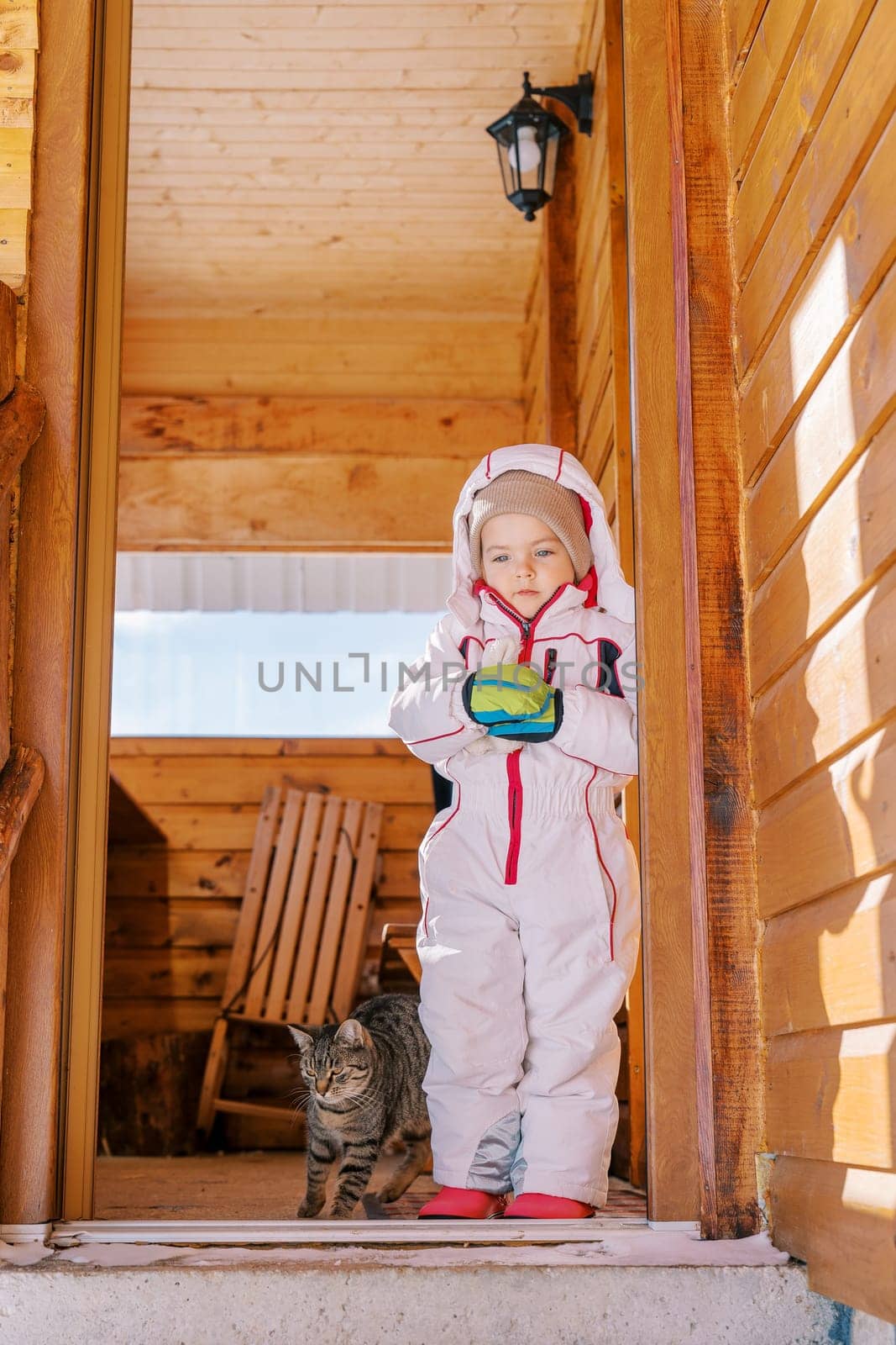 Little girl stands with a tabby cat on the threshold of a wooden cottage and looks down by Nadtochiy