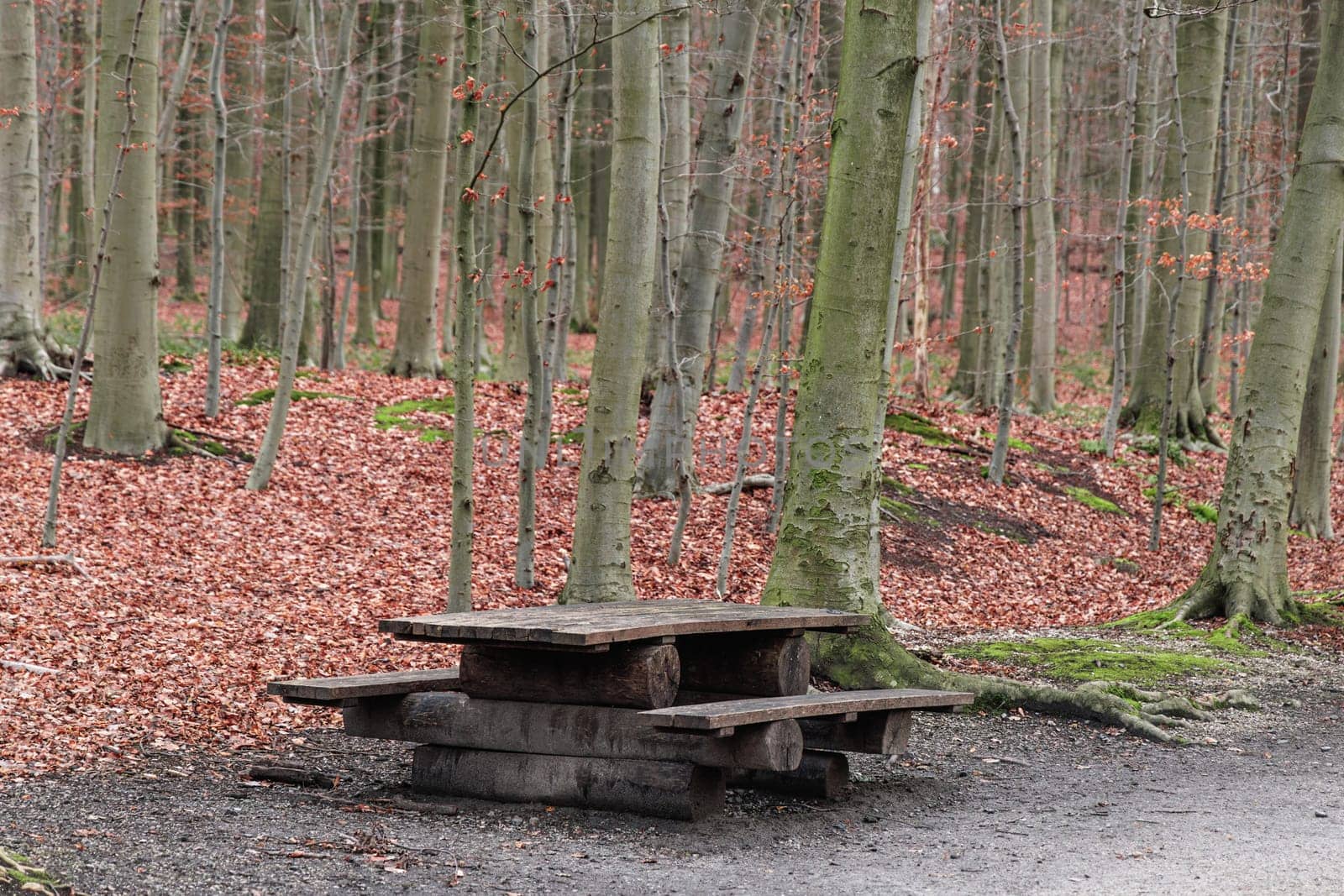 An outdoor wooden picnic table in a forest in autumn