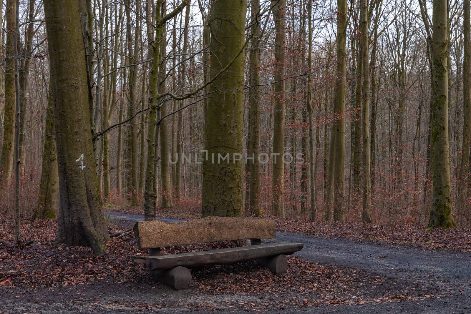 An outdoor wooden picnic table in a forest in autumn