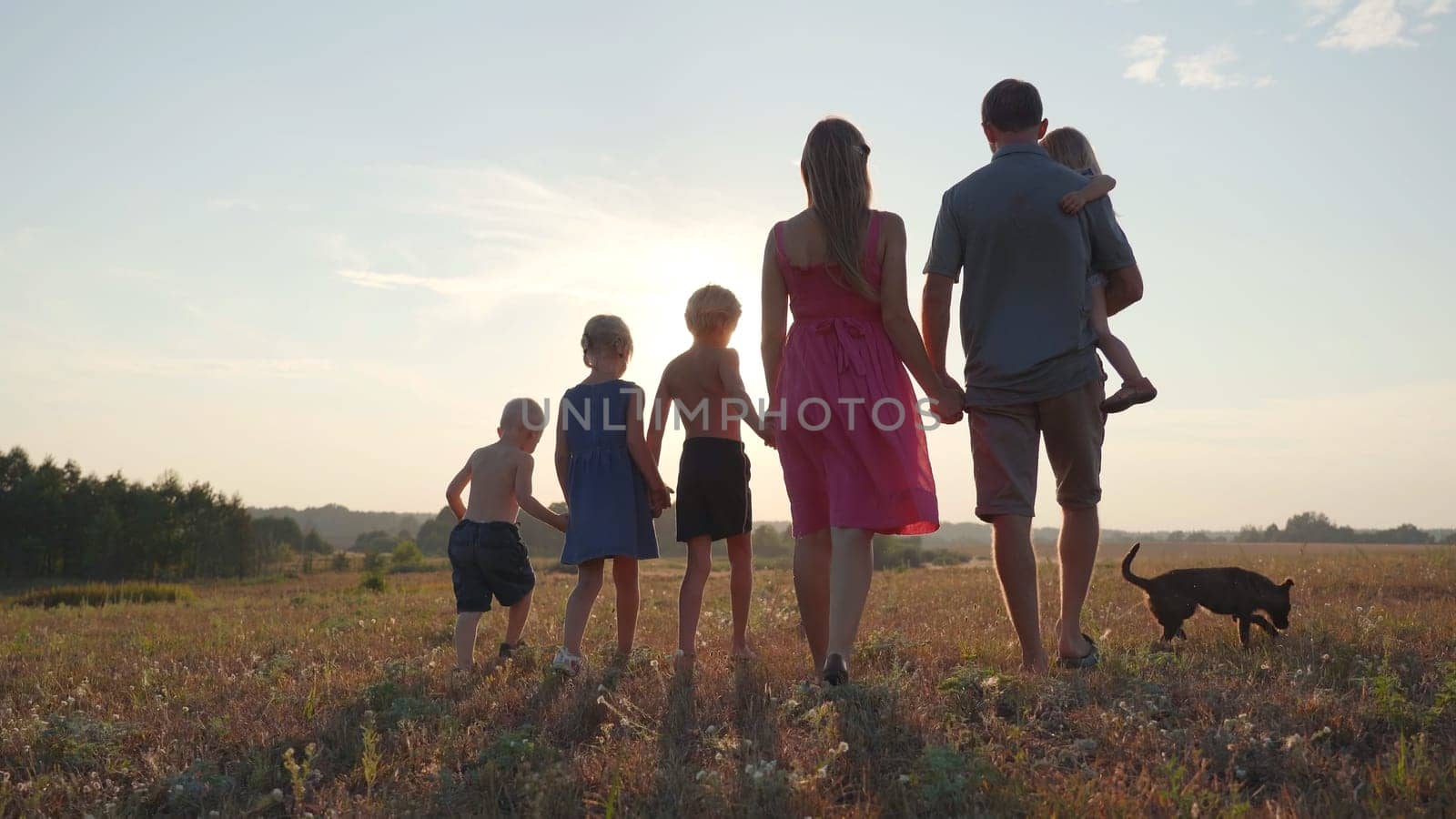 A friendly large family walks across the field at sunset with dog. by DovidPro