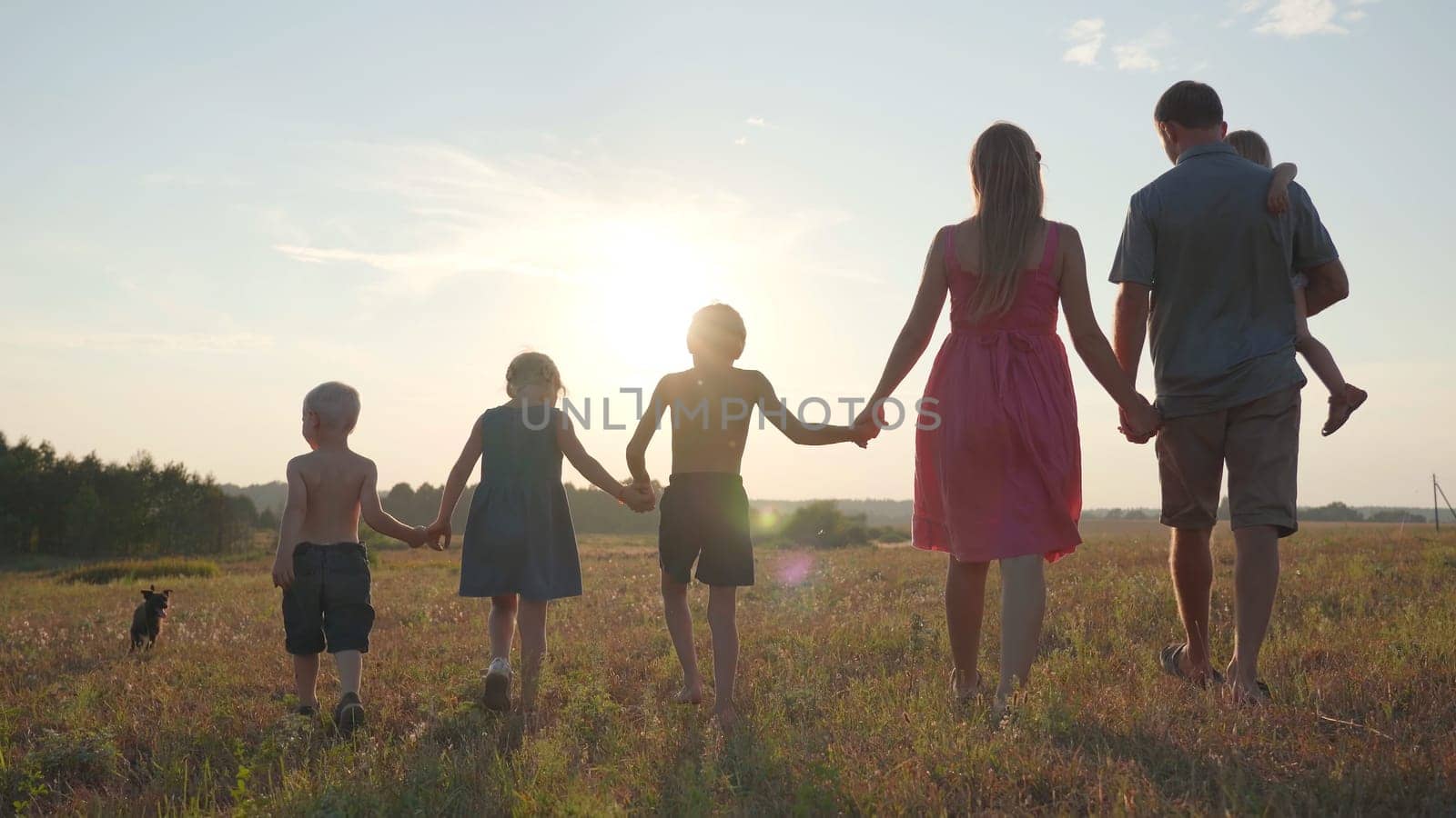 A friendly large family walks across the field at sunset with dog