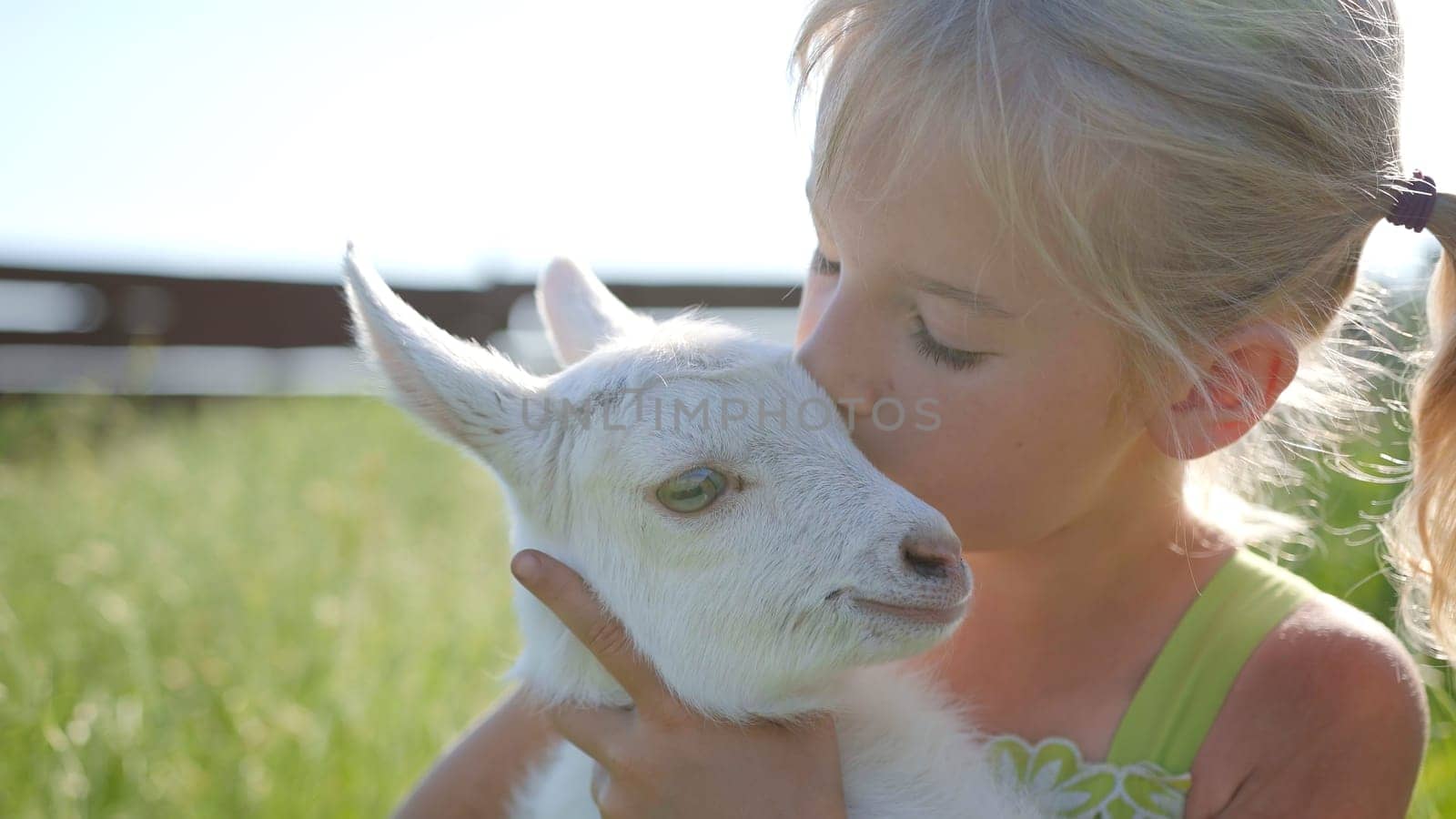 A six-year-old girl in a meadow gently hugs a small white goat