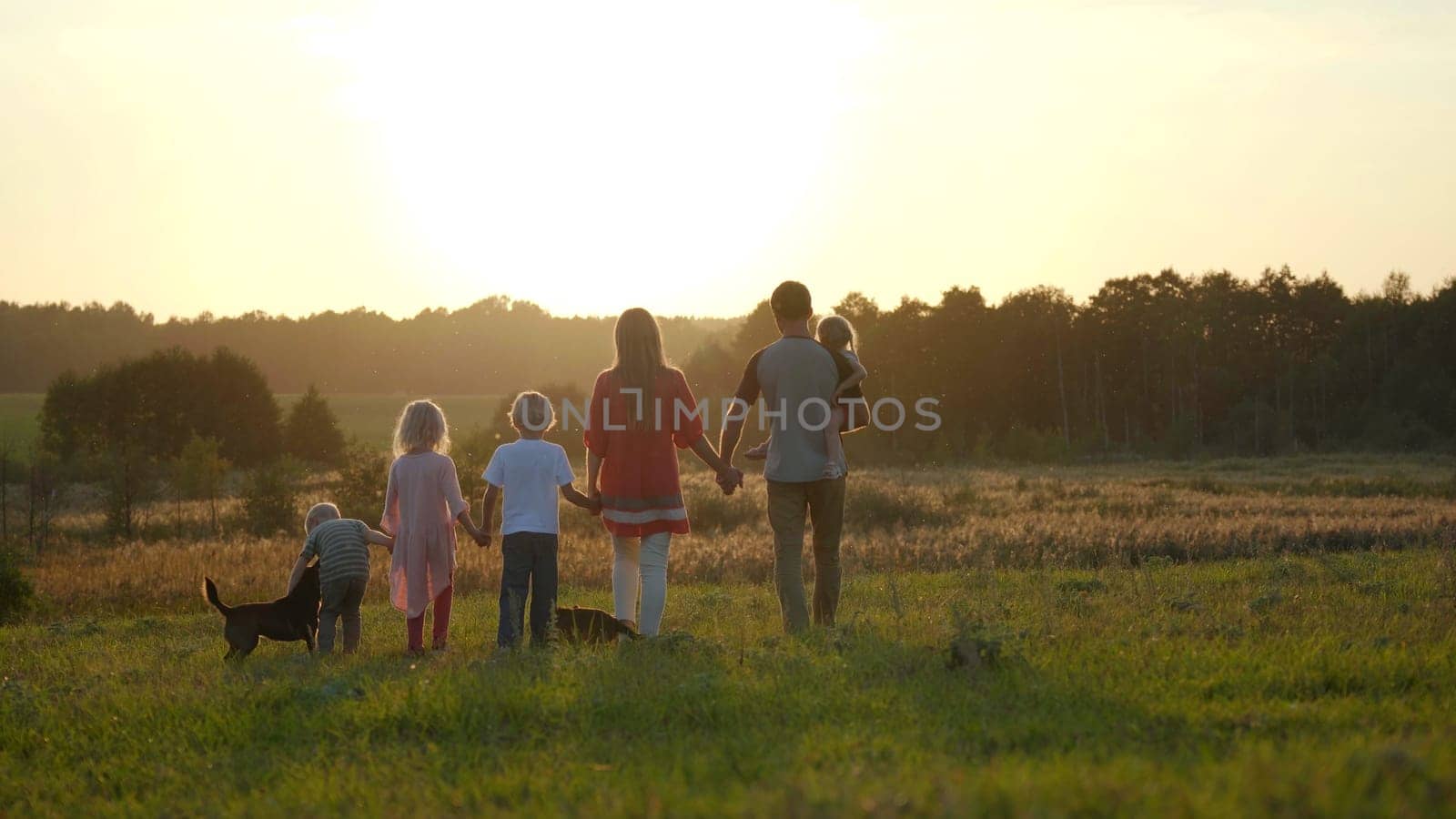 A large friendly family walks across the field at sunset with dog. by DovidPro