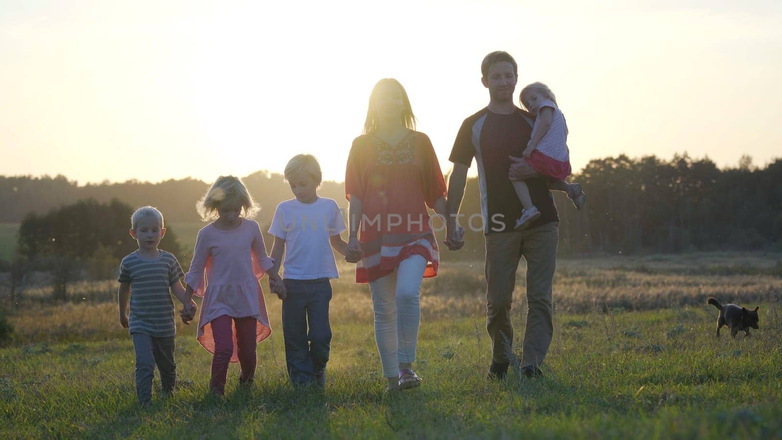 A large friendly family walks across the field at sunset with dog. by DovidPro