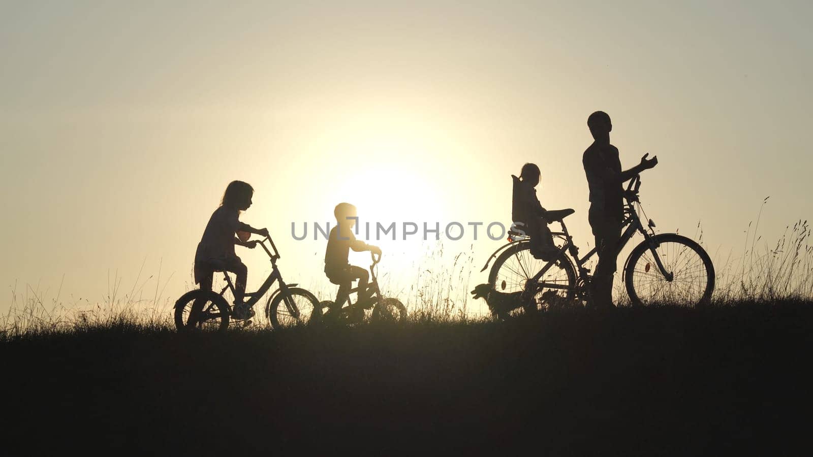Silhouettes of a large large family with bicycles and dogs at sunset