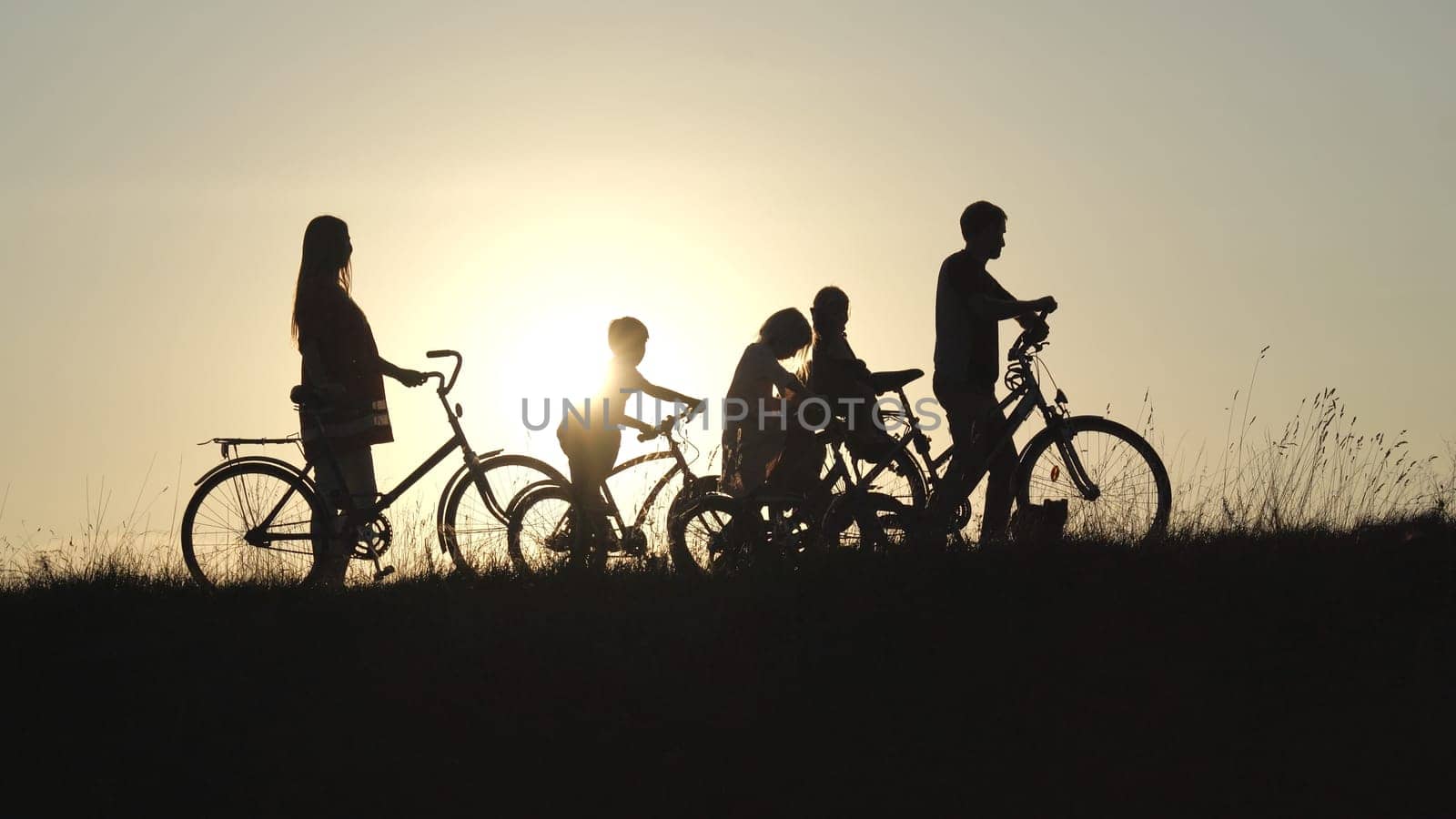 Silhouettes of a large large family with bicycles and dogs at sunset