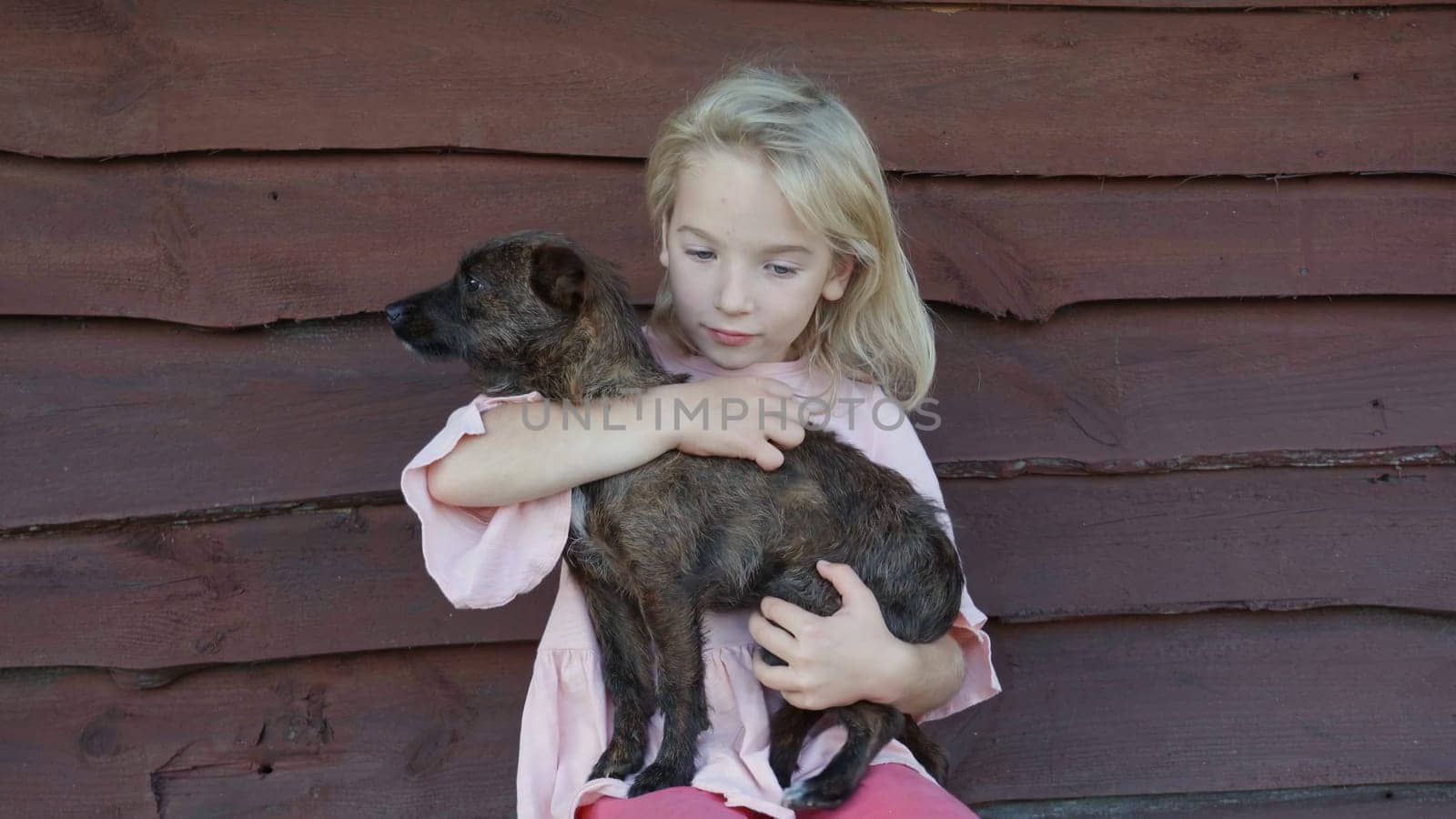 Little girl petting her mongrel dog in the village. by DovidPro