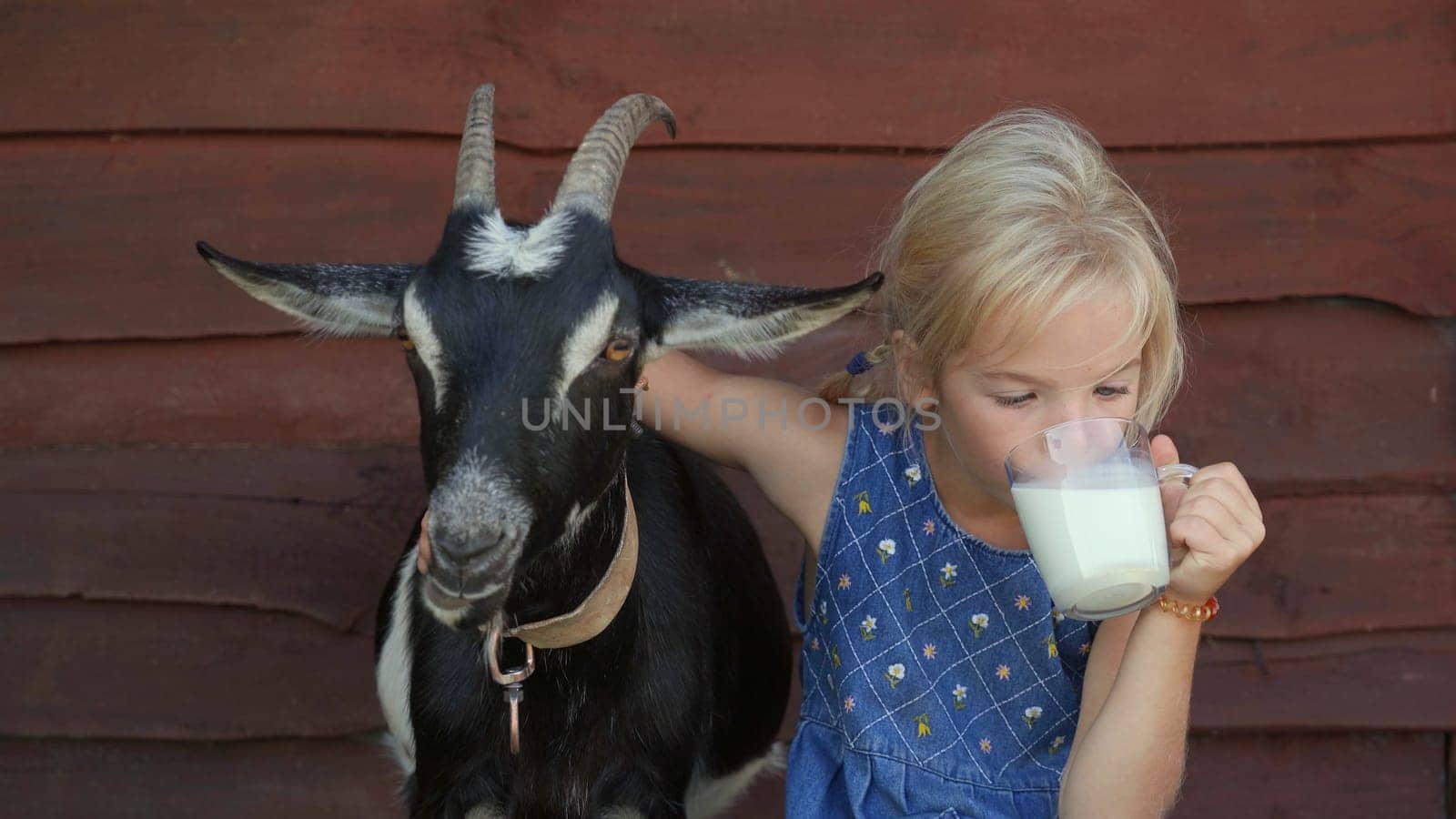 The girl drinks goat milk from a mug and hugs her beloved goat. by DovidPro