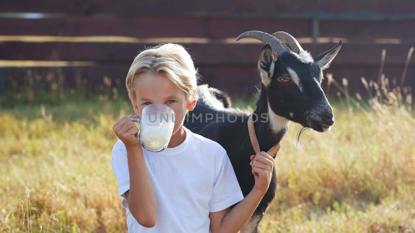 A boy drinks goat milk from a mug next to his goat