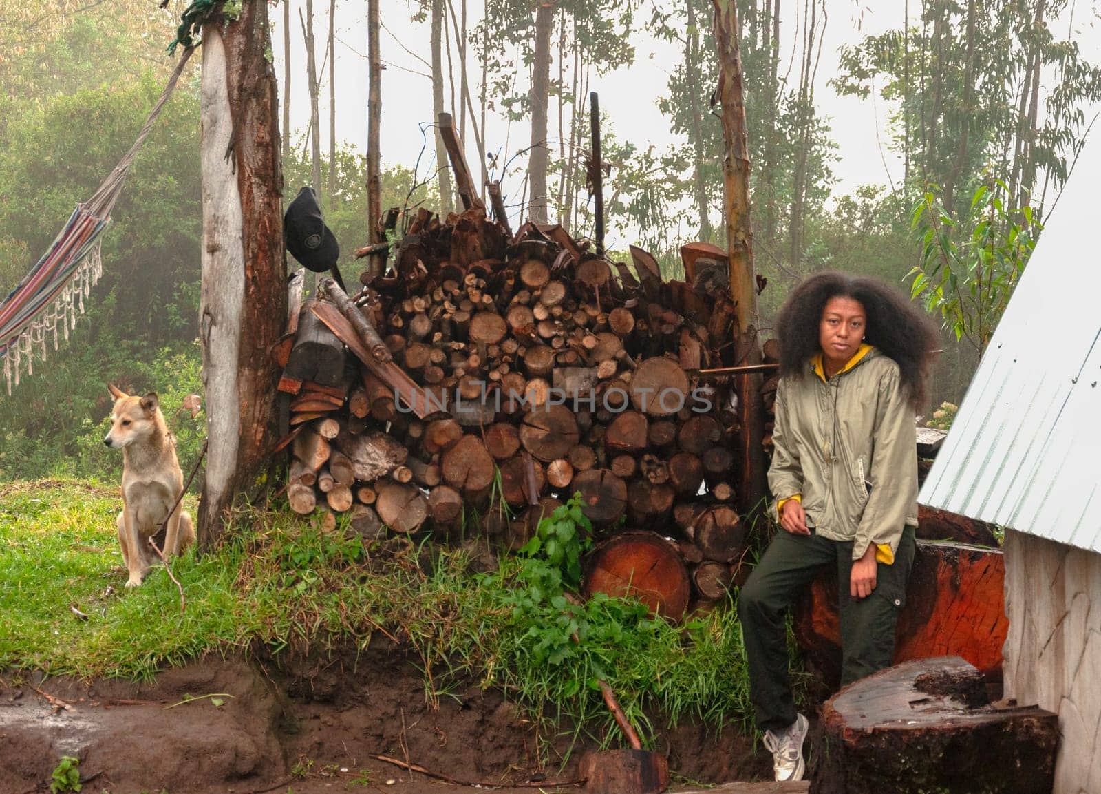 young tourist with afro hair sitting at dawn next to a big block of firewood and a white dog in a natural and rural environment. tourism day. High quality photo