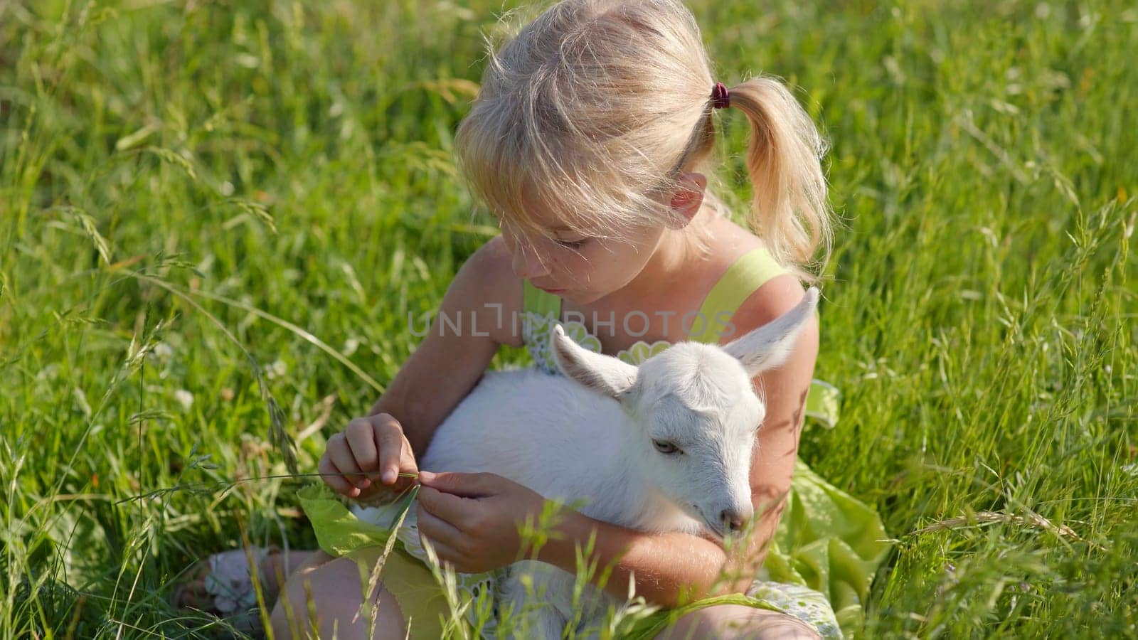 A six-year-old girl in a meadow gently hugs a small white goat