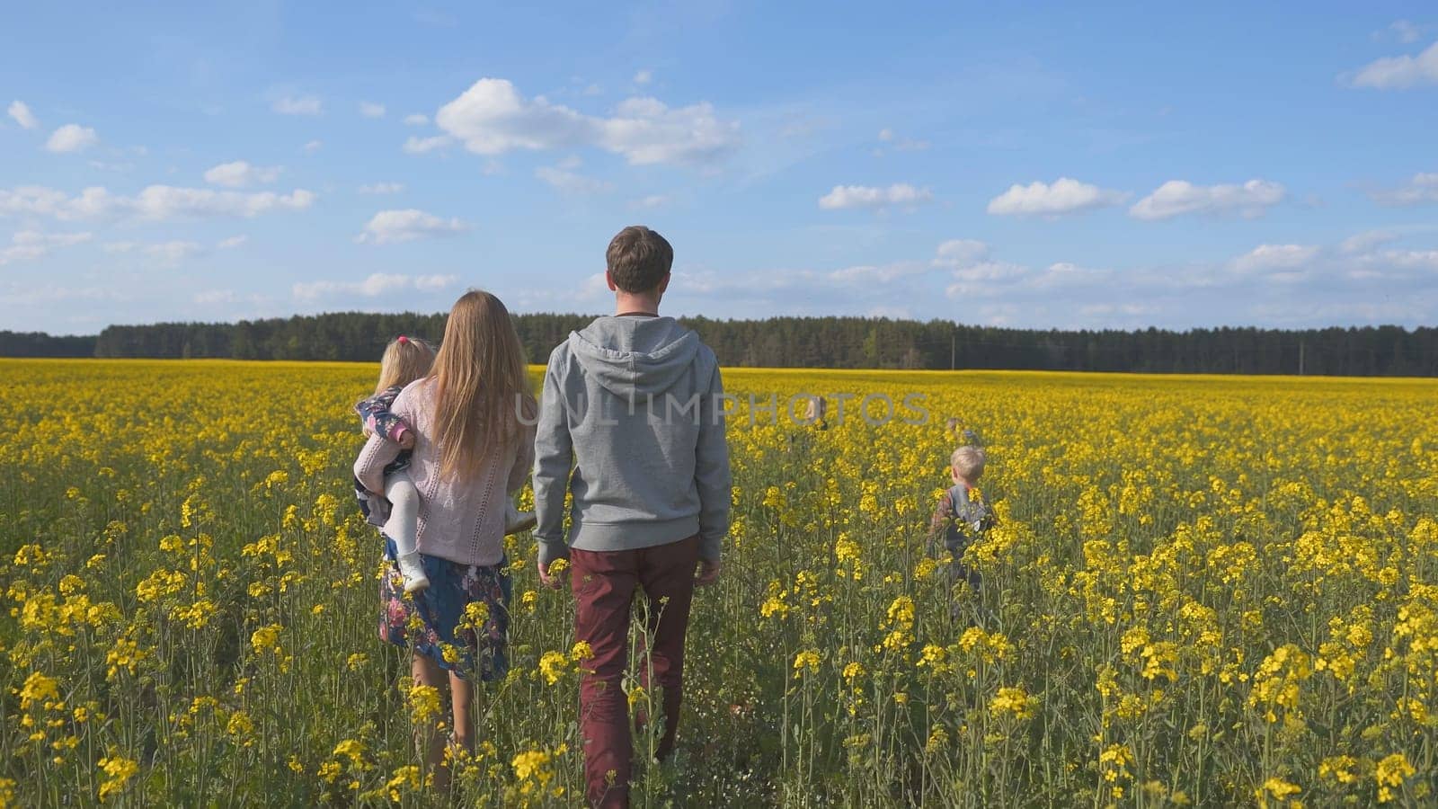 A happy family walks on a rapeseed field