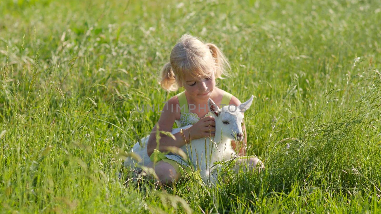 A six-year-old girl in a meadow gently hugs a small white goat