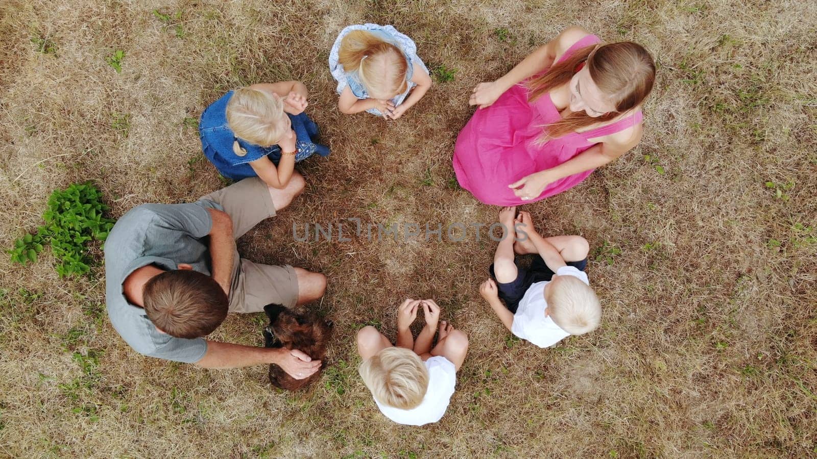 A friendly family sit holding hands on the grass with a dog. View from the drone