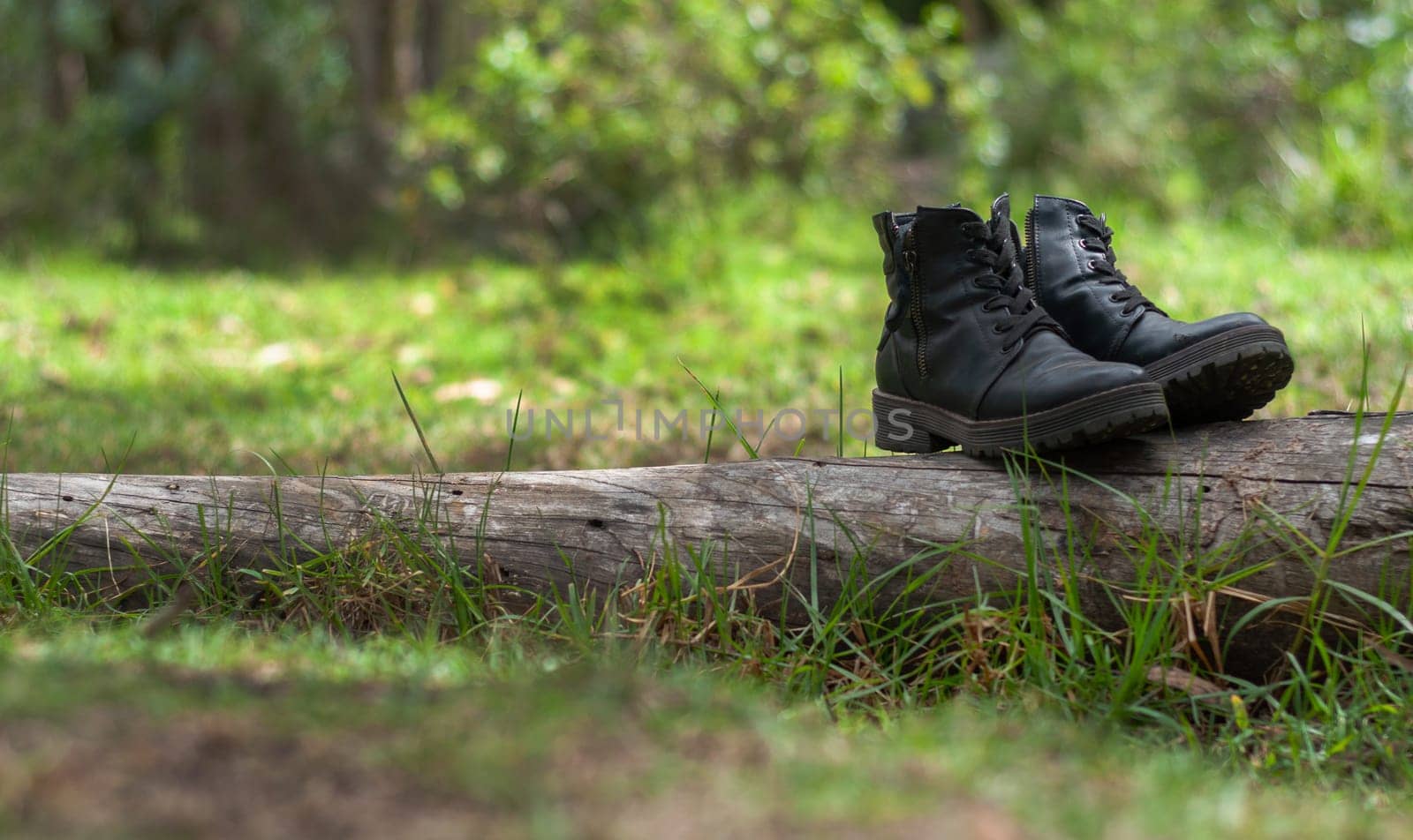 two hiking boots on a fallen log in the middle of a jungle forest in ecuador. tourism day. High quality photo
