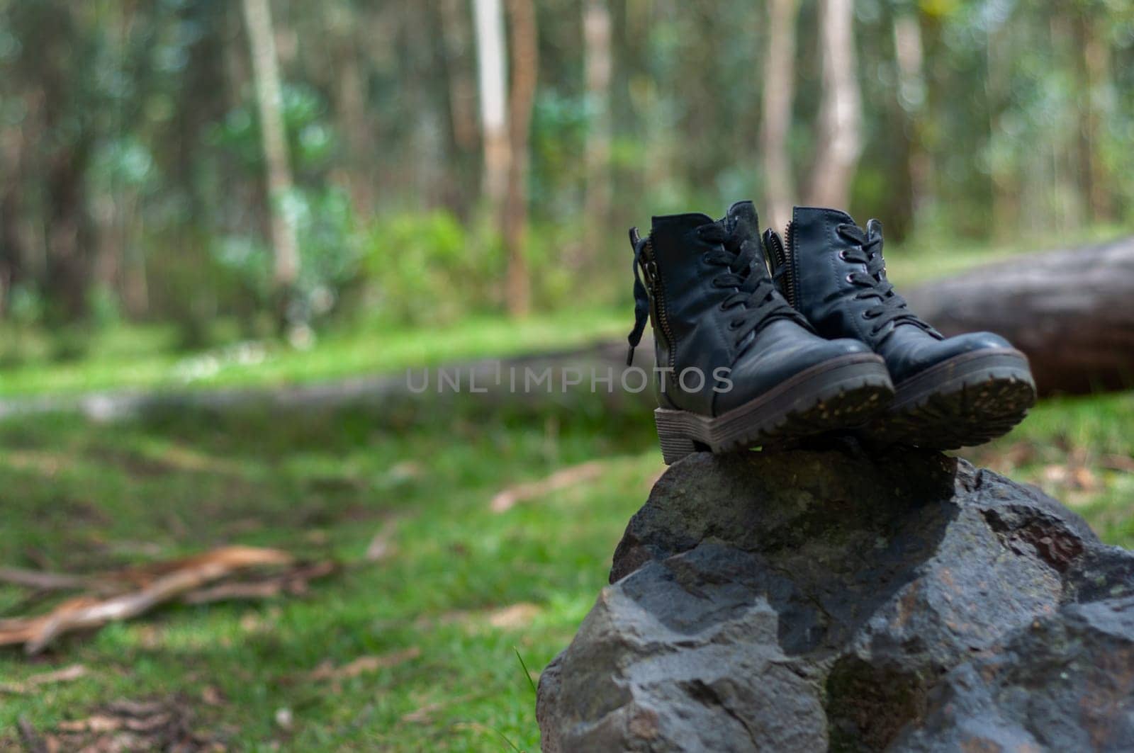 two hiking boots on a fallen log in the middle of a jungle forest in ecuador. backpacker's day. High quality photo