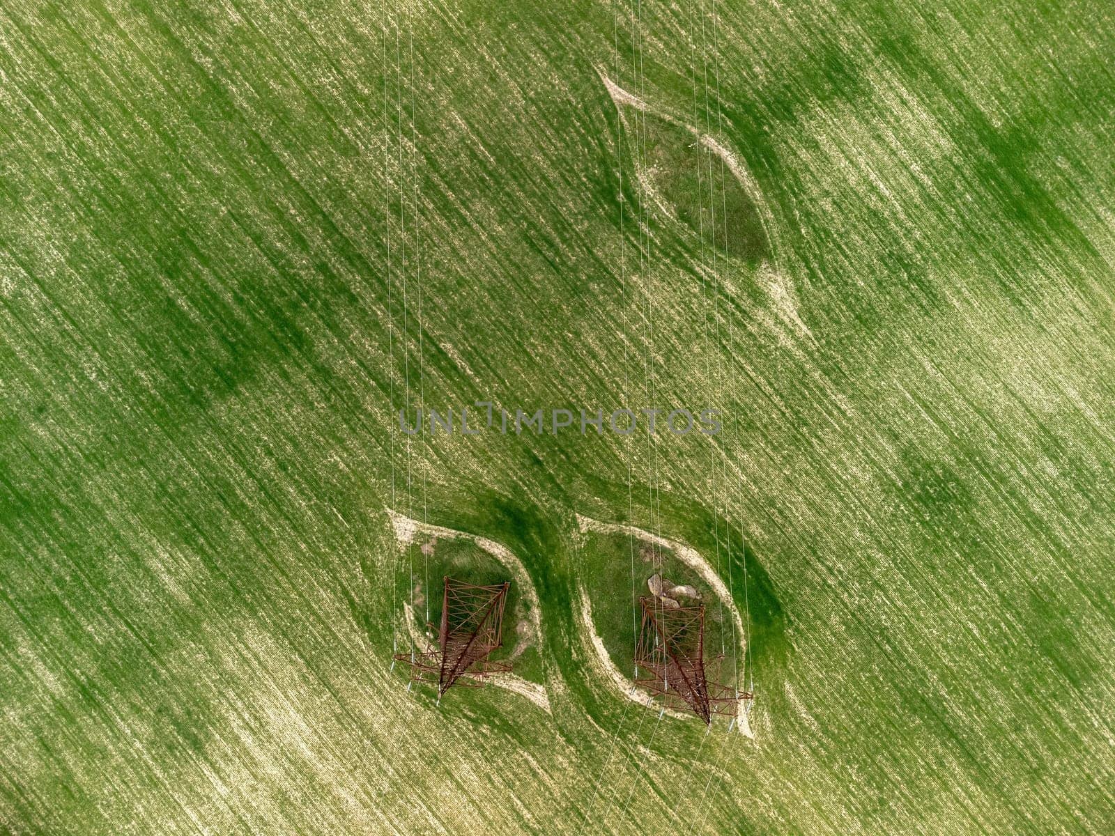 Power pylons in green field. Aerial view on Green wheat field with power pylons in countryside. Field of wheat blowing in the wind on sunset. Agronomy, industry and food production. by panophotograph