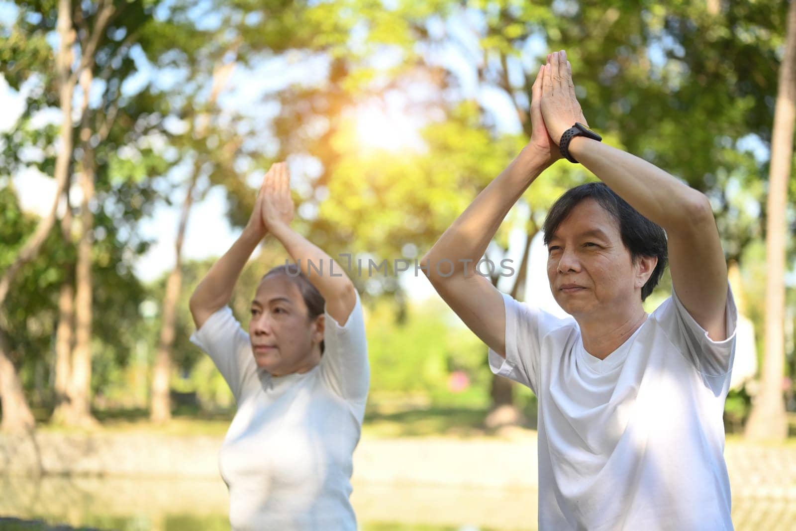 Active senior couple practicing yoga together during a beautiful sunny day. Mental health and elderly lifestyle concept. by prathanchorruangsak