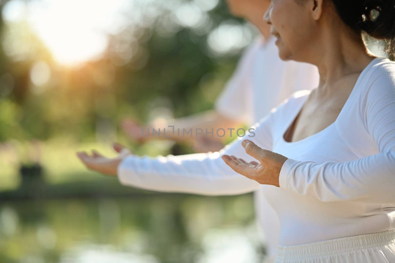 Cropped shot senior couple enjoying Tai Chi exercise in park. Active retirement lifestyle concept. by prathanchorruangsak