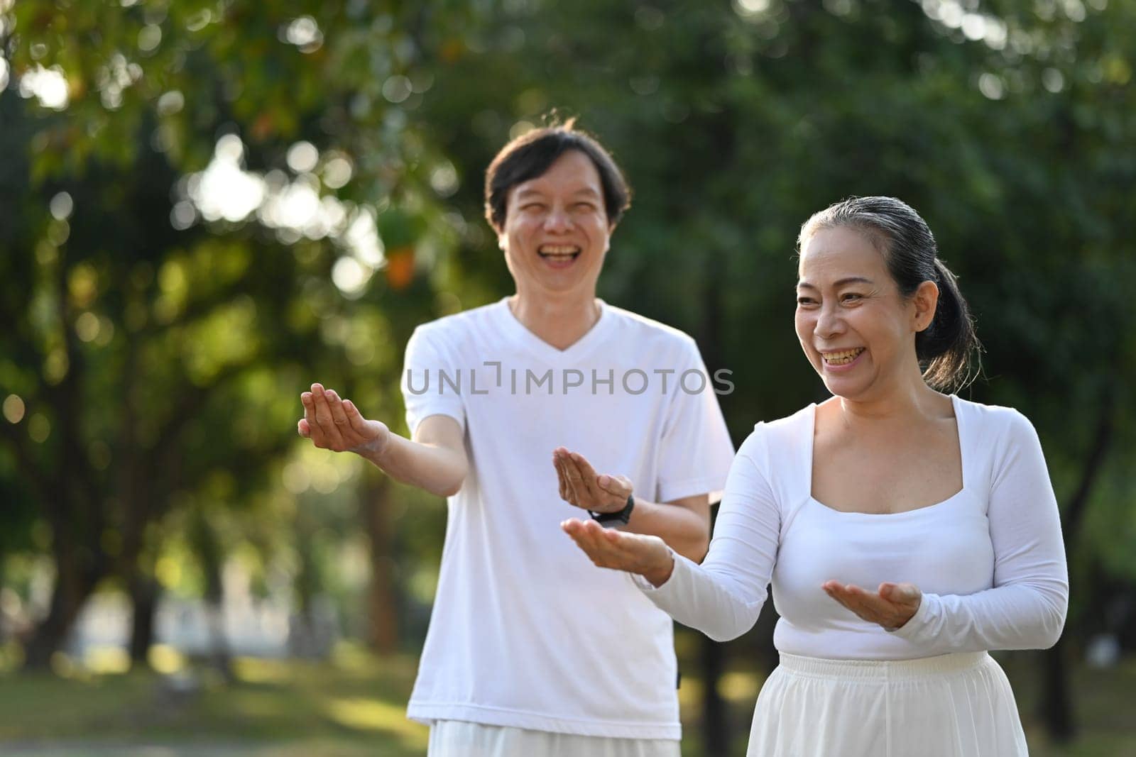 Happy Asian senior couple doing Qigong exercises in the park. Mental health and retired lifestyle concept