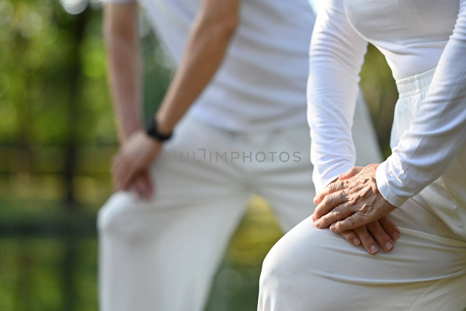 Cropped image of senior people doing Tai Chi exercise in the park. Active retirement lifestyle concept