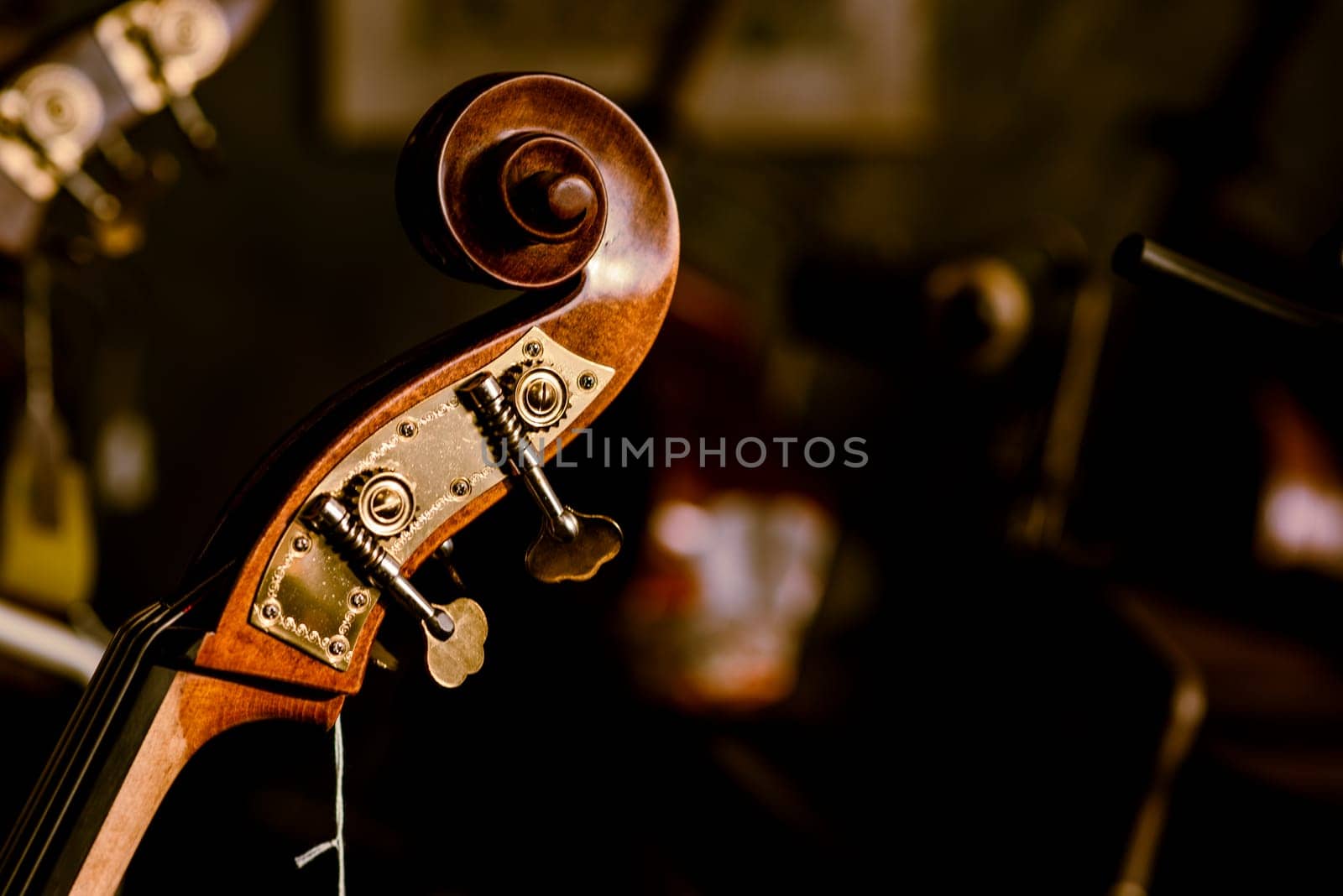 Photo of violin close-up. Close-up of cello strings, classical music concept.