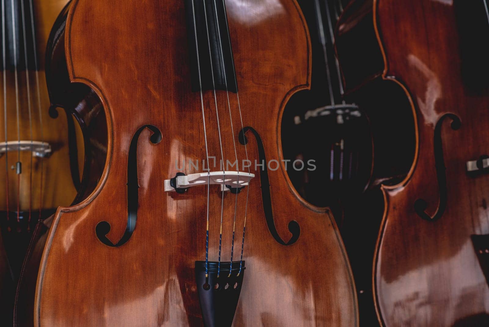 close up of Violins are hanging in retail store to sell by iansaf