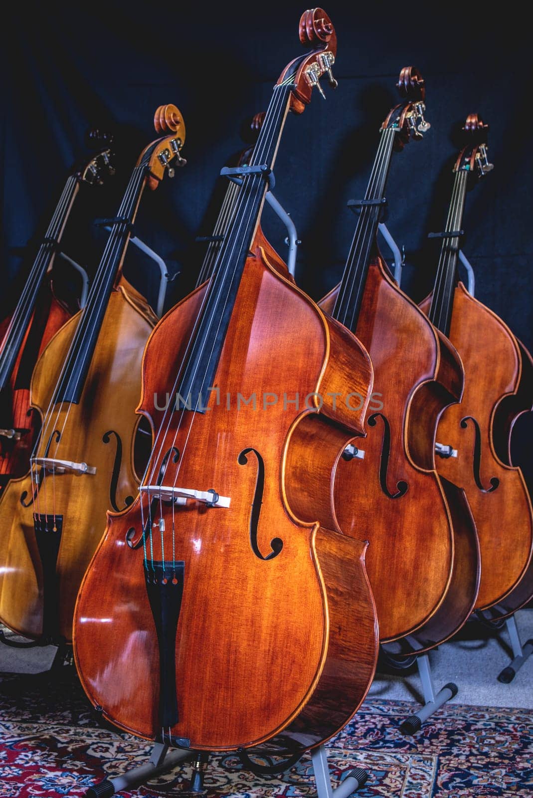 closeup of row of double basses resting against dark background by iansaf