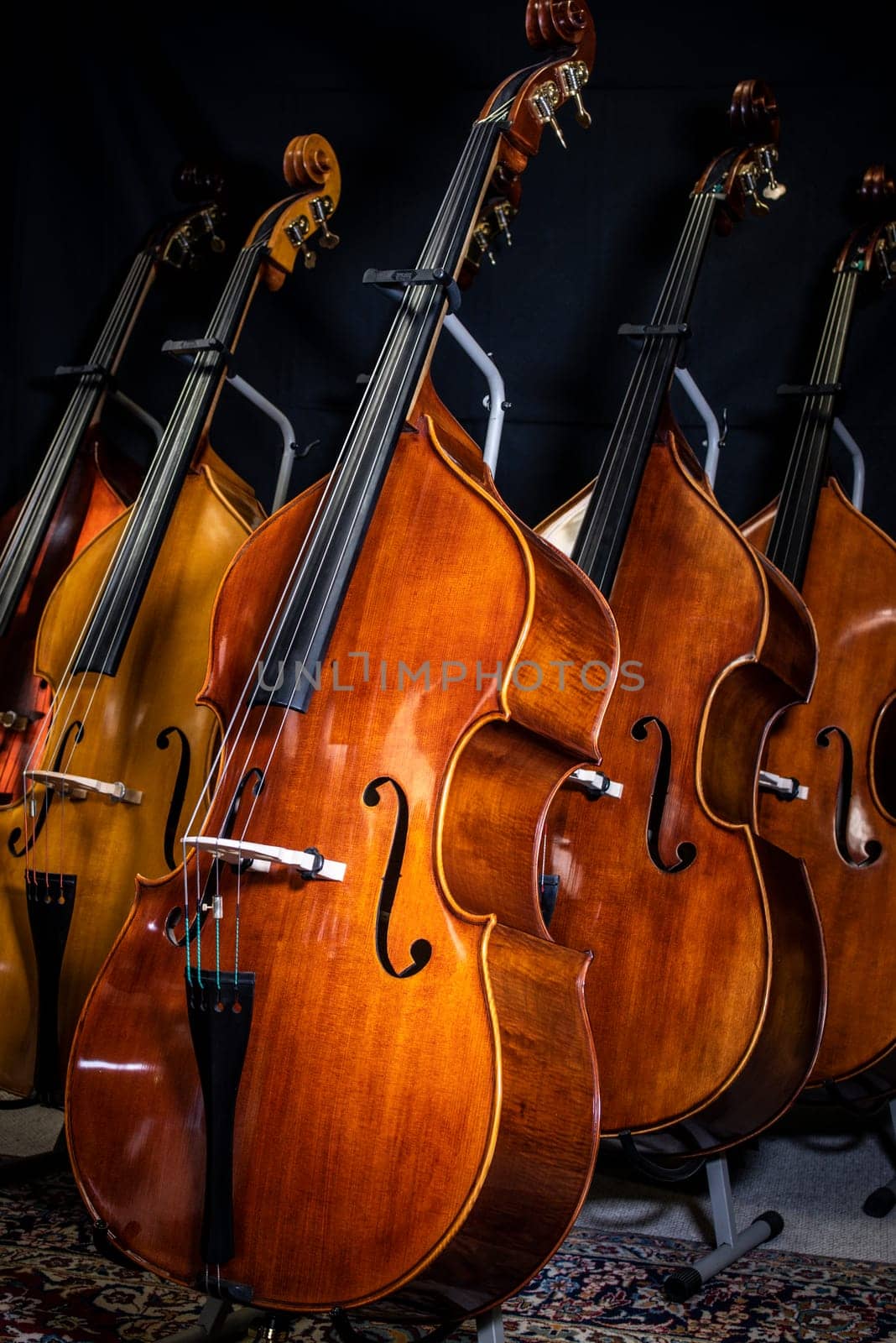 closeup of row of double basses resting against dark background by iansaf