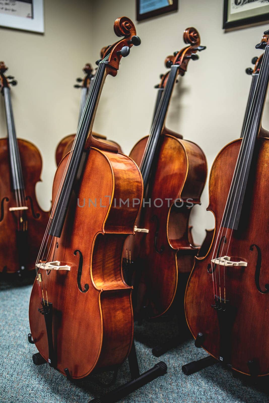 closeup of row of double basses resting against wall at a store by iansaf