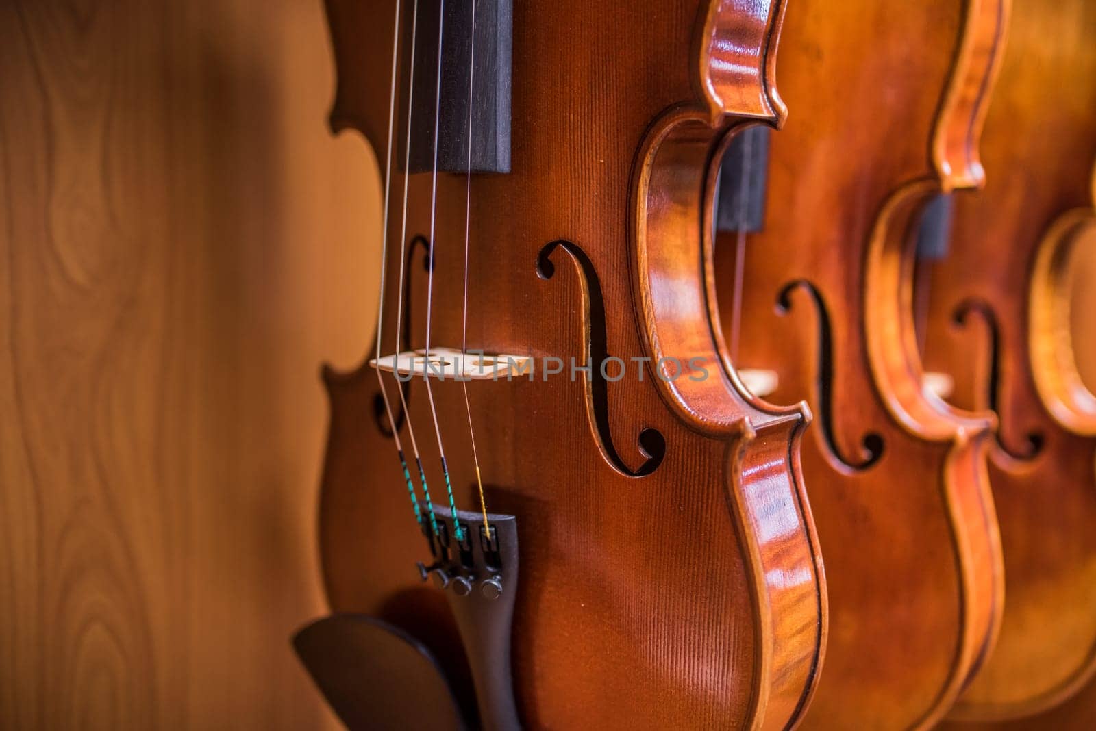 Row of multiple violins hanging on the wall, musician workshop by iansaf