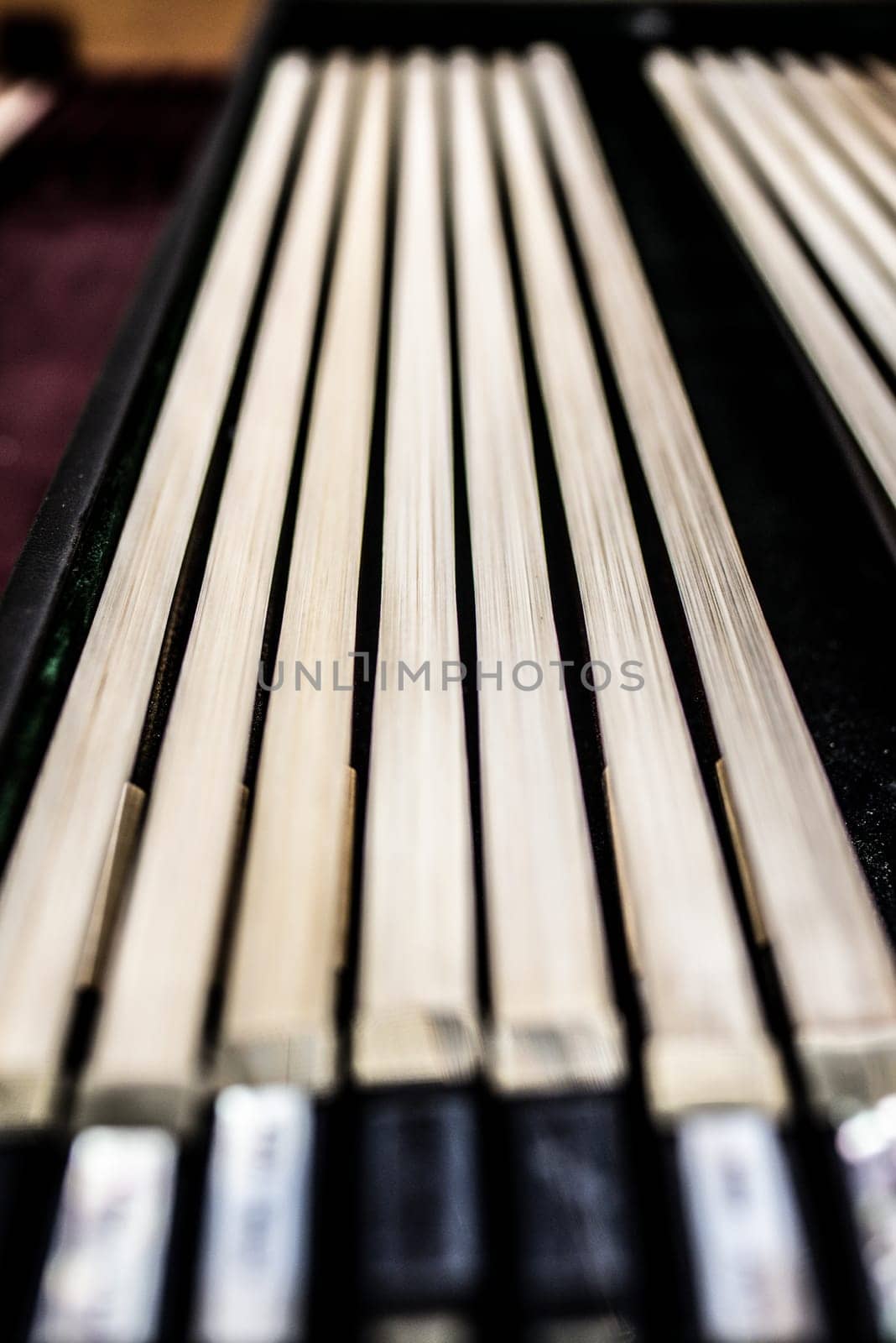 Many violin bows are laying in a row on the desk by iansaf