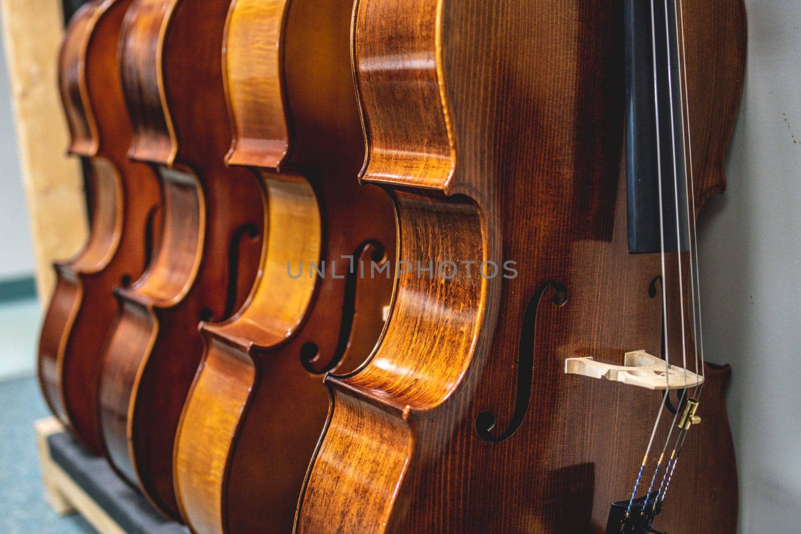 Row of multiple violins hanging on the wall, musician workshop by iansaf