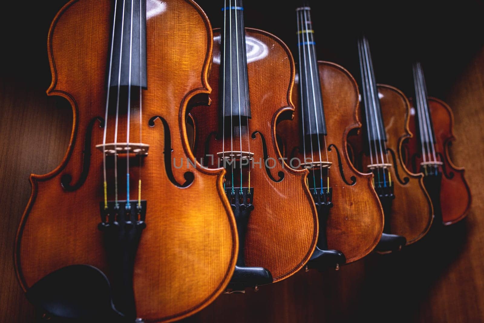 Row of multiple violins hanging on the wall