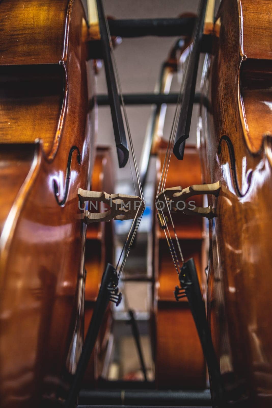 Wooden cellos leaning sideways