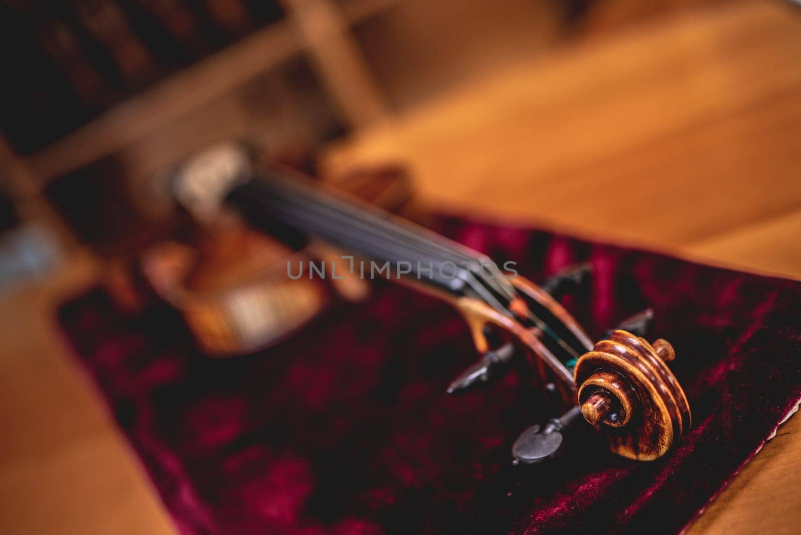 close up shot of a viola laying on velvet at a musical instrument shop by iansaf