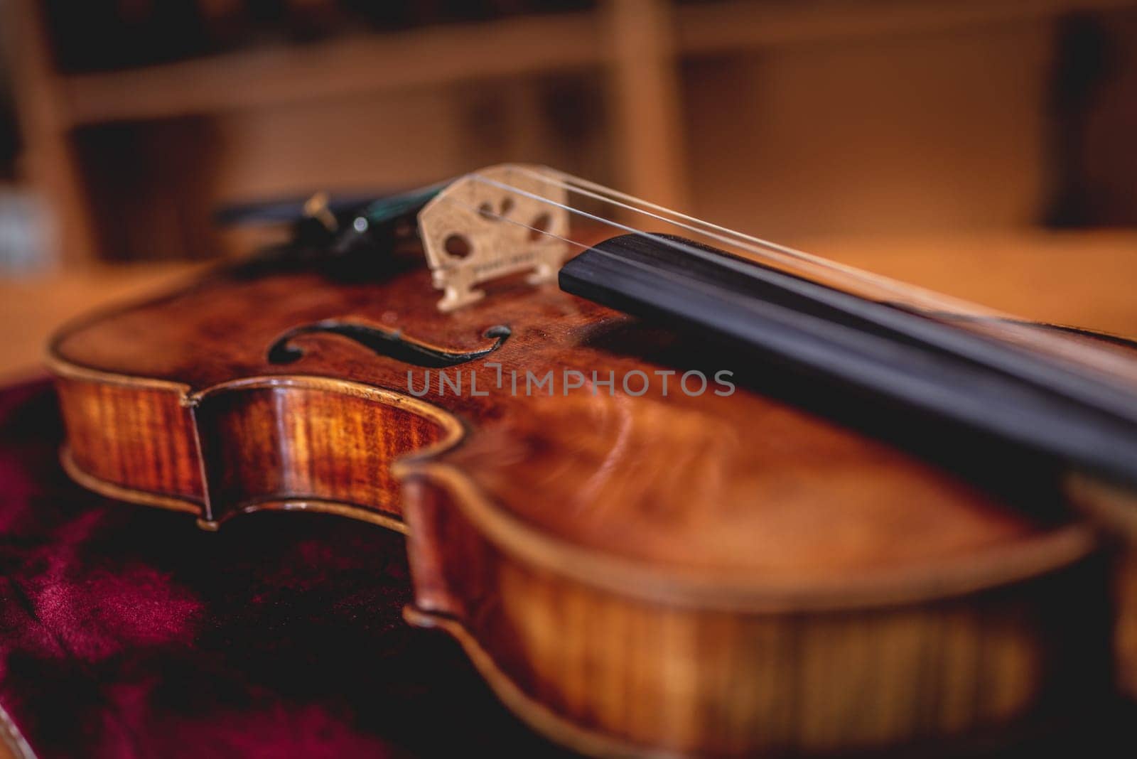 close up shot of a viola laying on velvet