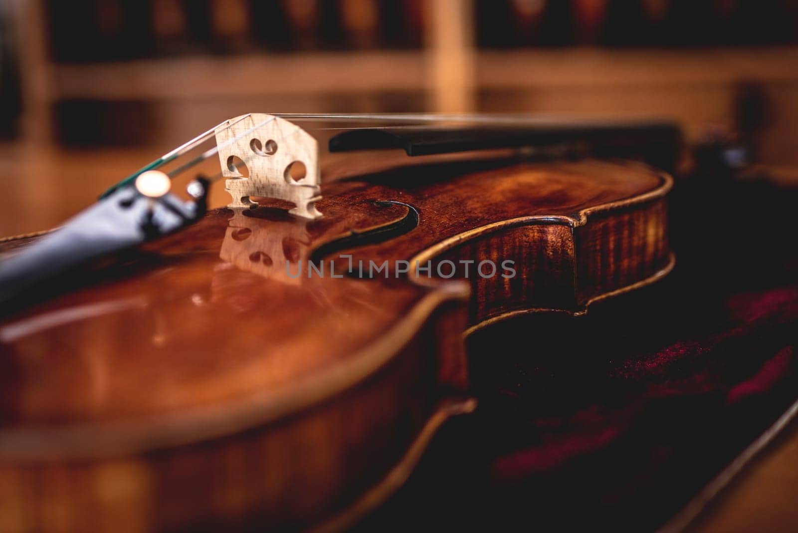 close up shot of a viola laying on velvet at a musical instrument shop by iansaf
