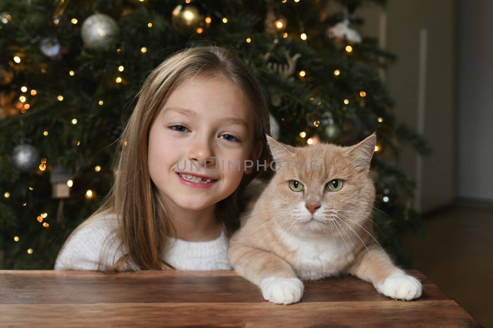 A girl near a ginger cat near a christmas tree by Godi