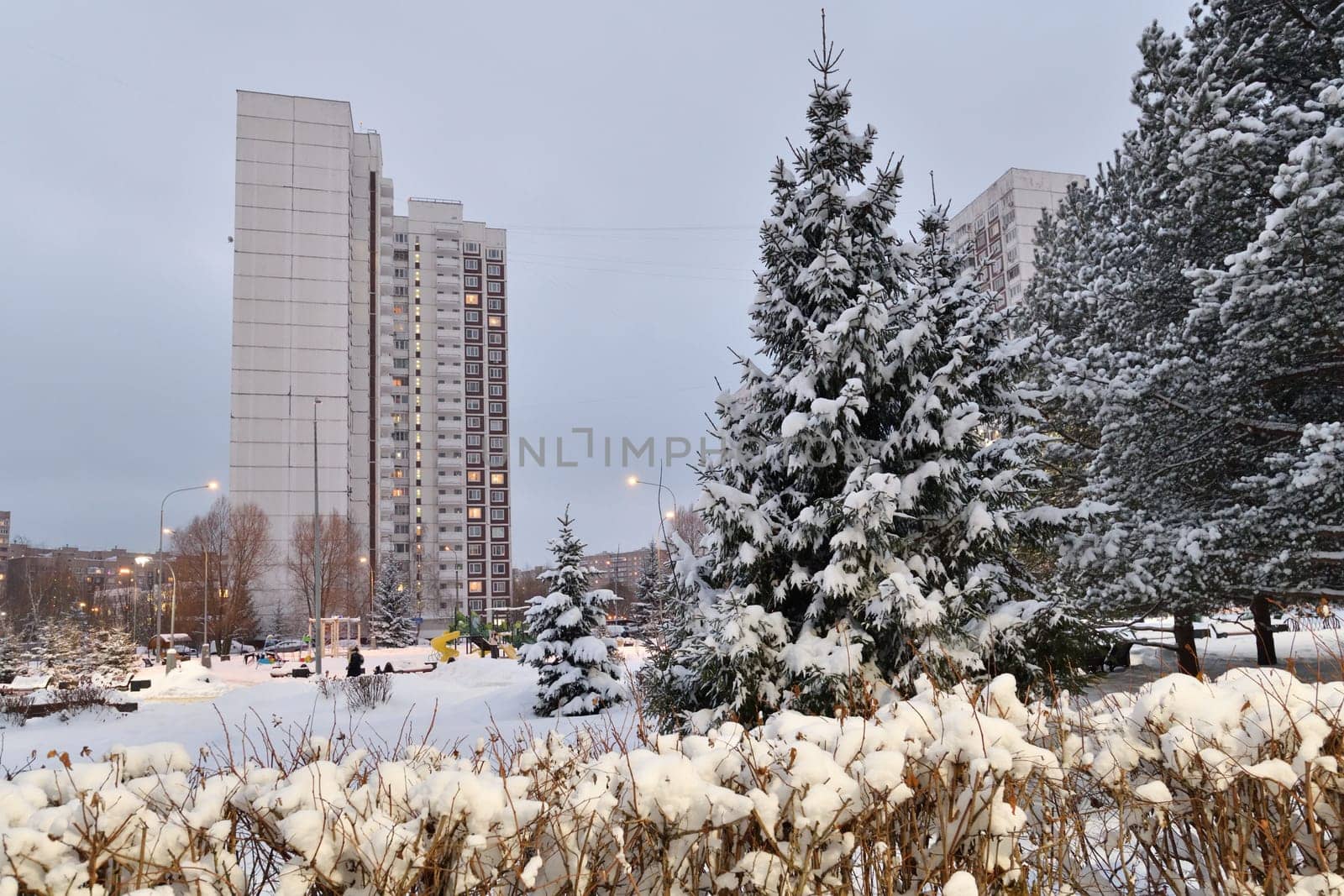 Snow-covered alley in winter park in Moscow, Russia