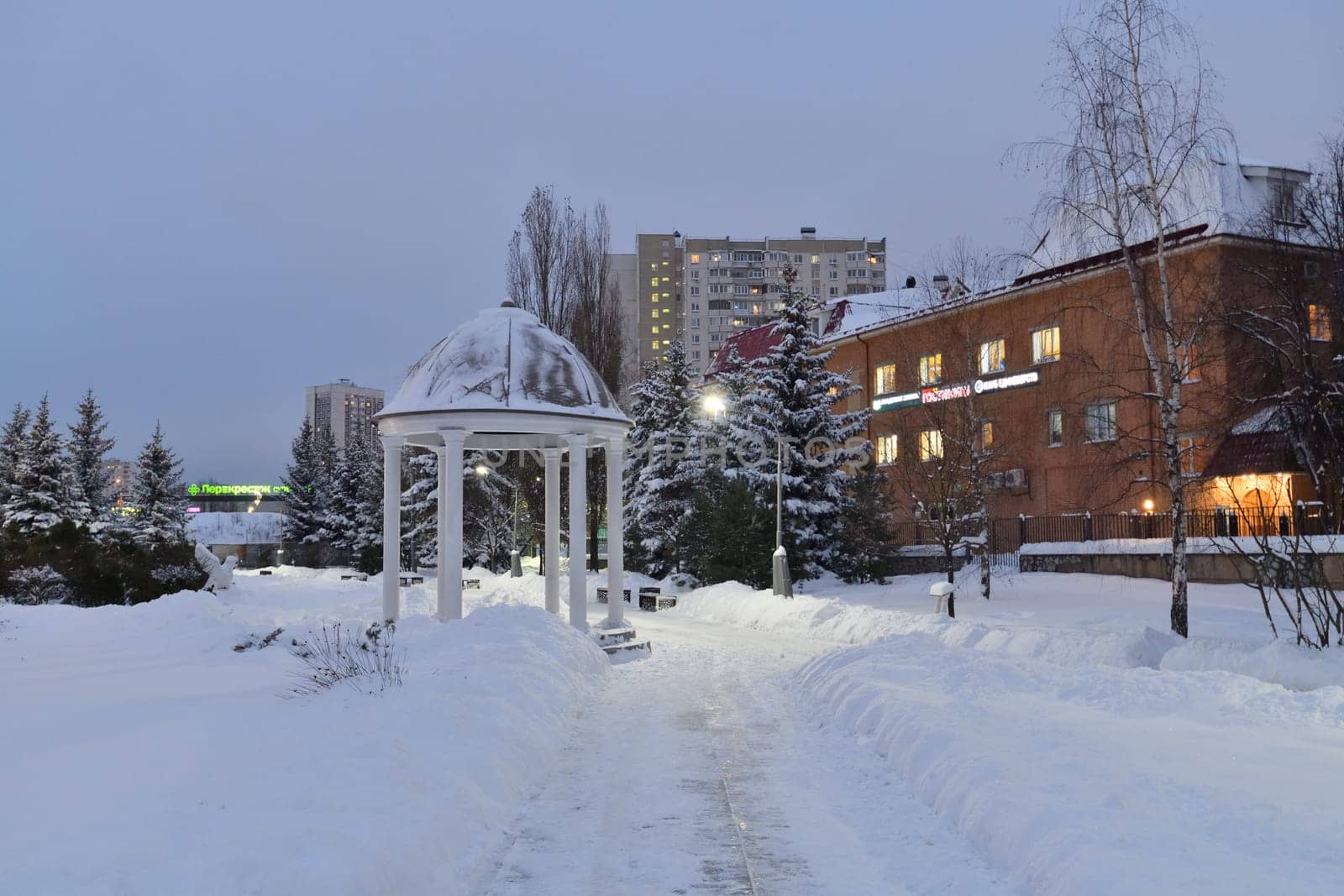 Moscow, Russia - DEC 4. 2023. Winter evening landscape by olgavolodina