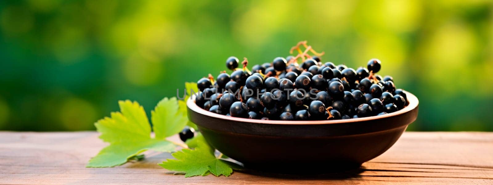 Black currant berries in a bowl against the backdrop of the garden. Selective focus. by yanadjana