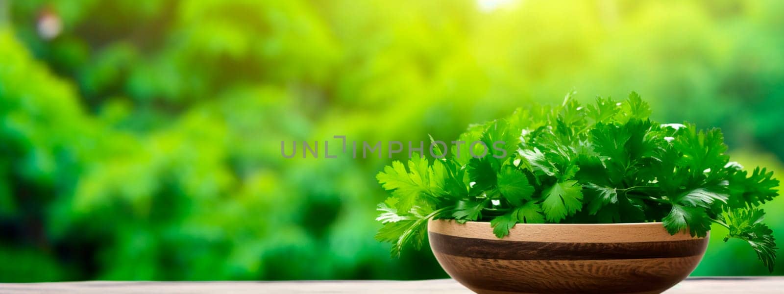 Cilantro in a bowl against the backdrop of the garden. Selective focus. Food.