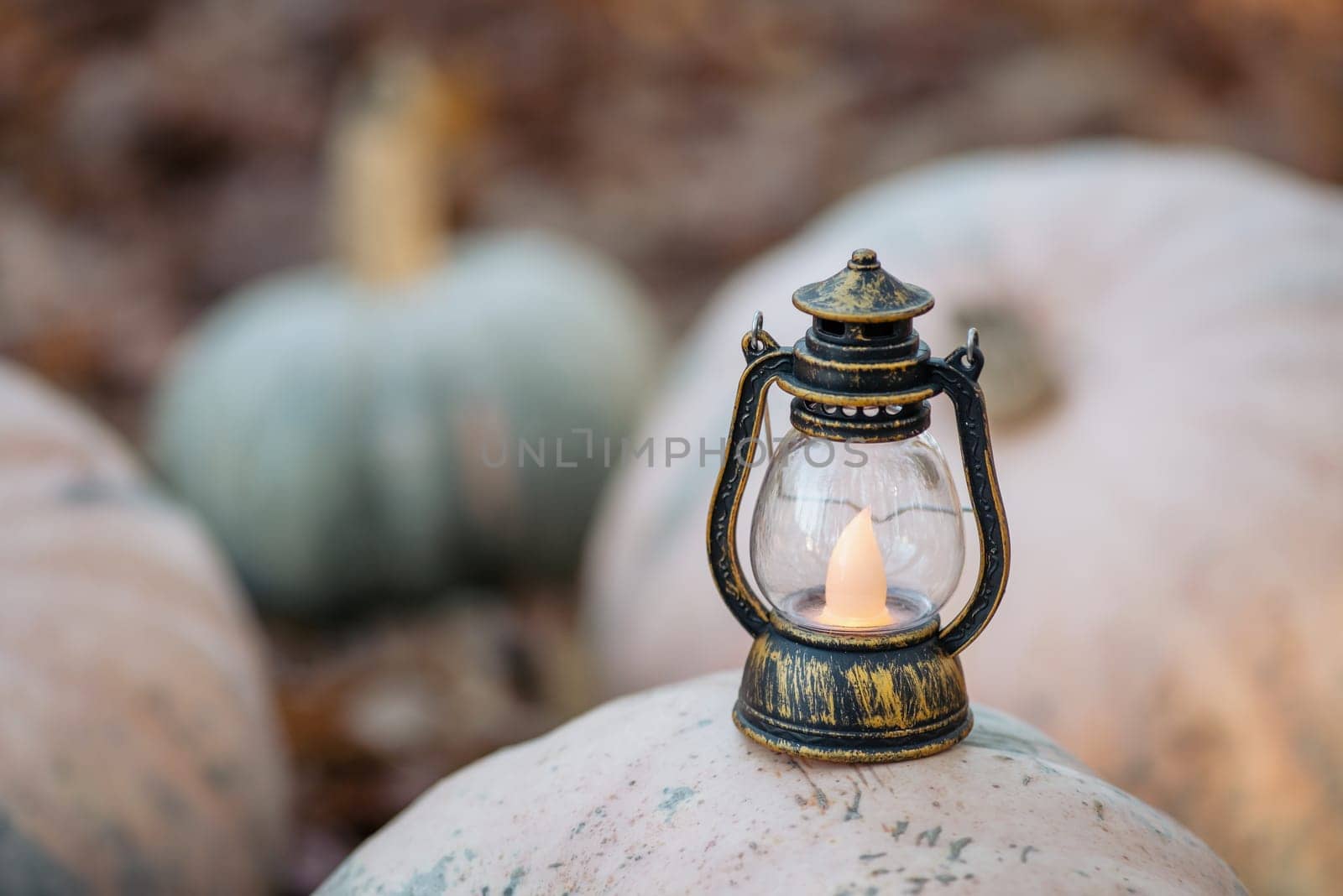 Small lantern on pumpkin in forest by VitaliiPetrushenko