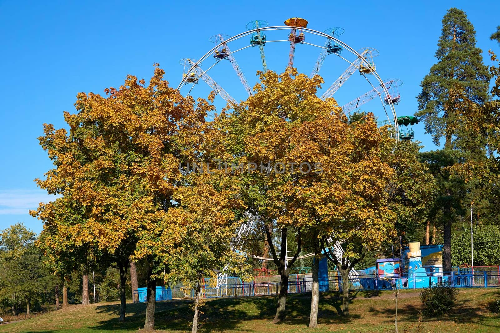 Multi colored ferris wheel and blue sky in a green forest park by jovani68